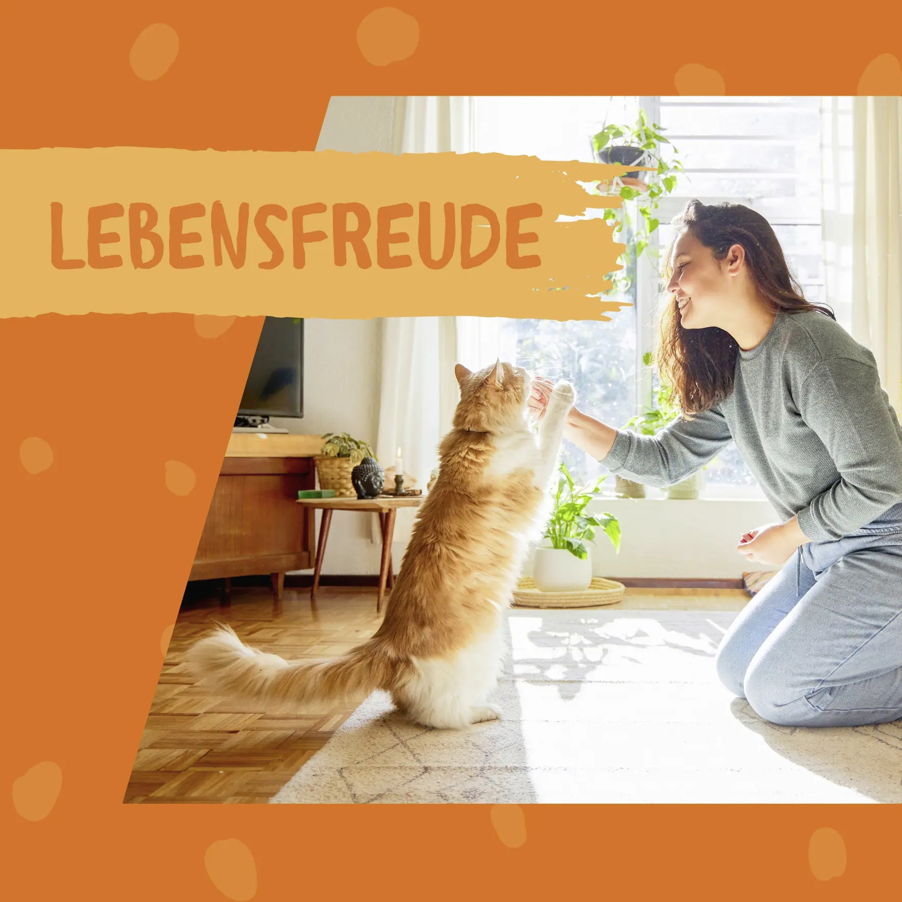 Dokas Schleck und weg Katzendrink Huhn 100 g