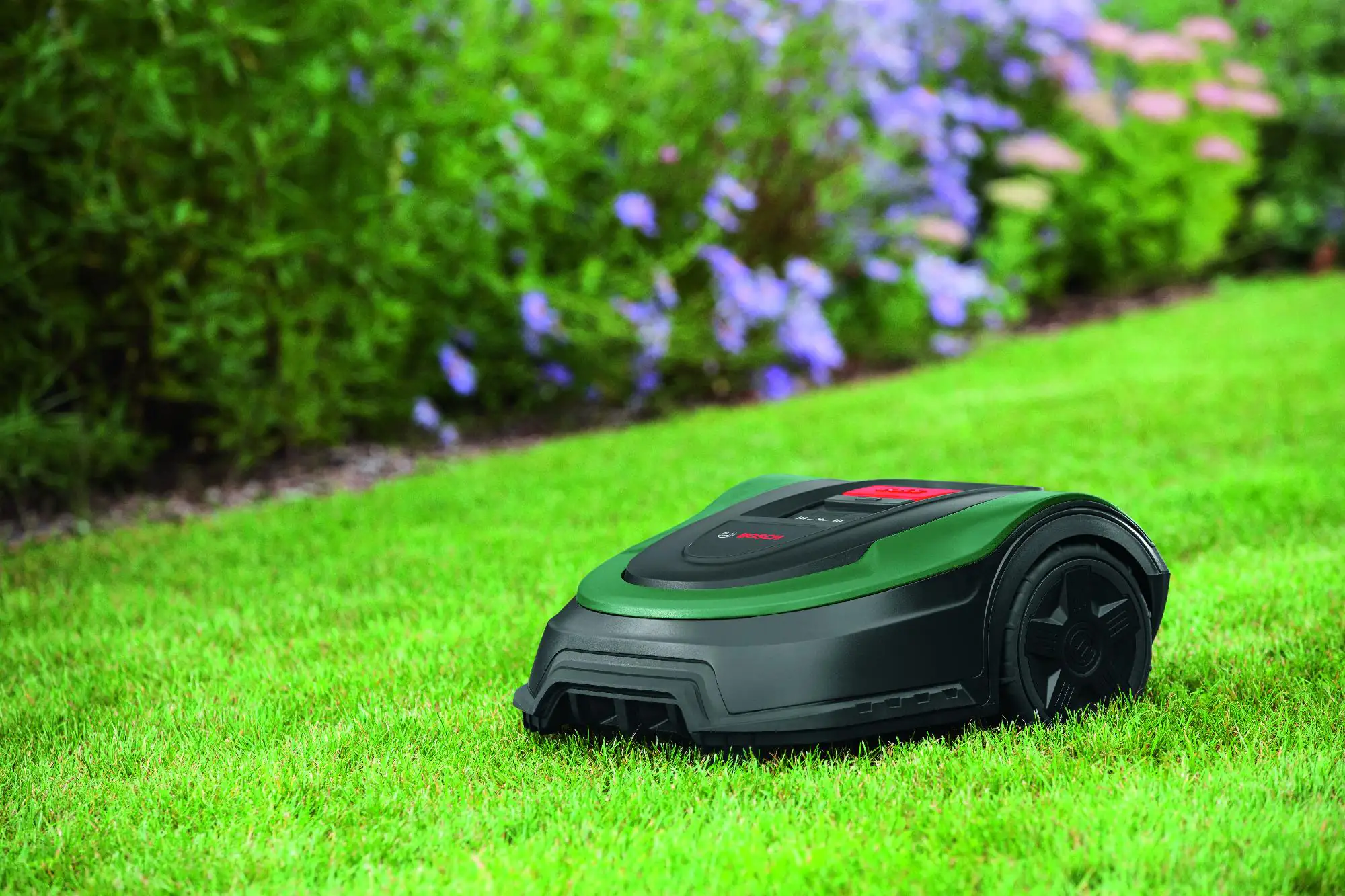 Bosch Mähroboter Indego XS 300 inkl. Garage Schnittbreite: 19 cm Bosch Mähroboter Indego XS 300 inkl. Garage Schnittbreite: 19 cm
