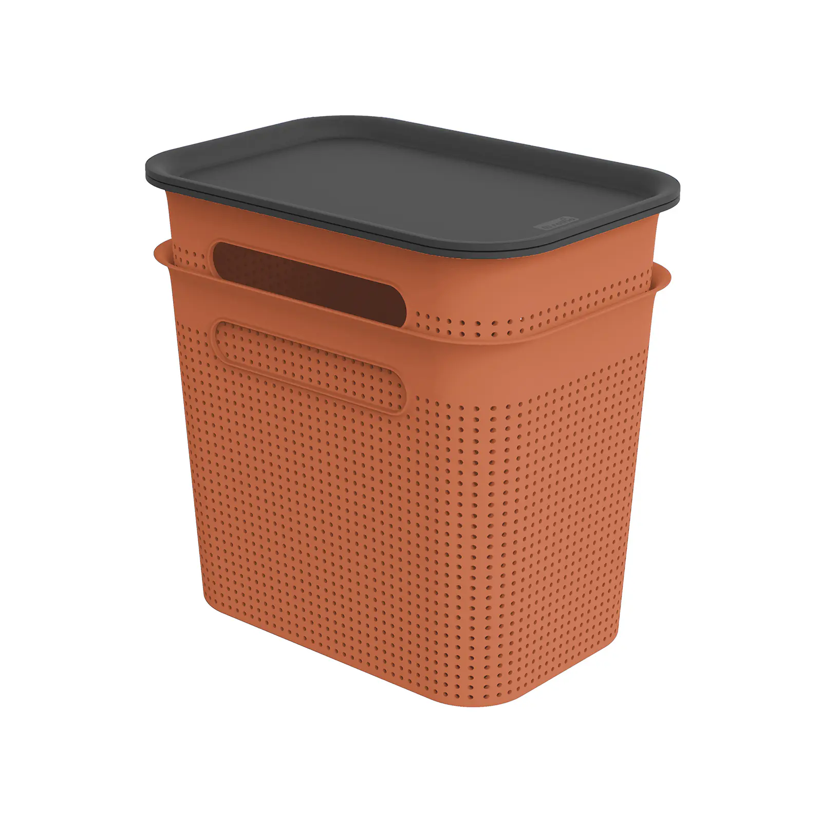 Rotho Aufbewahrungsbox Brisen mit Deckel 26,6 x 18,5 cm 7 L clay koralle 2er Set