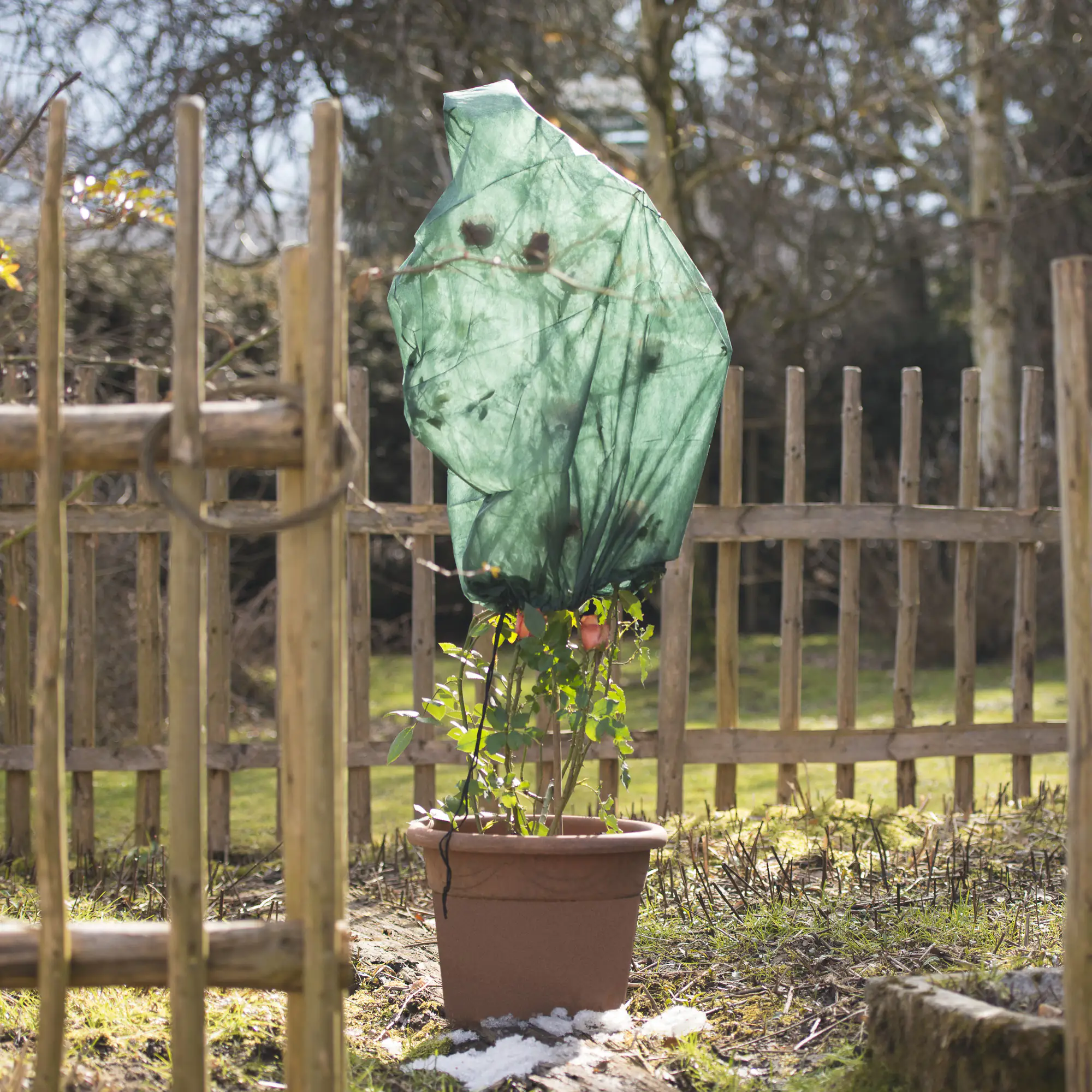 9003117067264 Windhager Rosenvlies-Haube 0,75 x 1 m, grün, 3 Stück