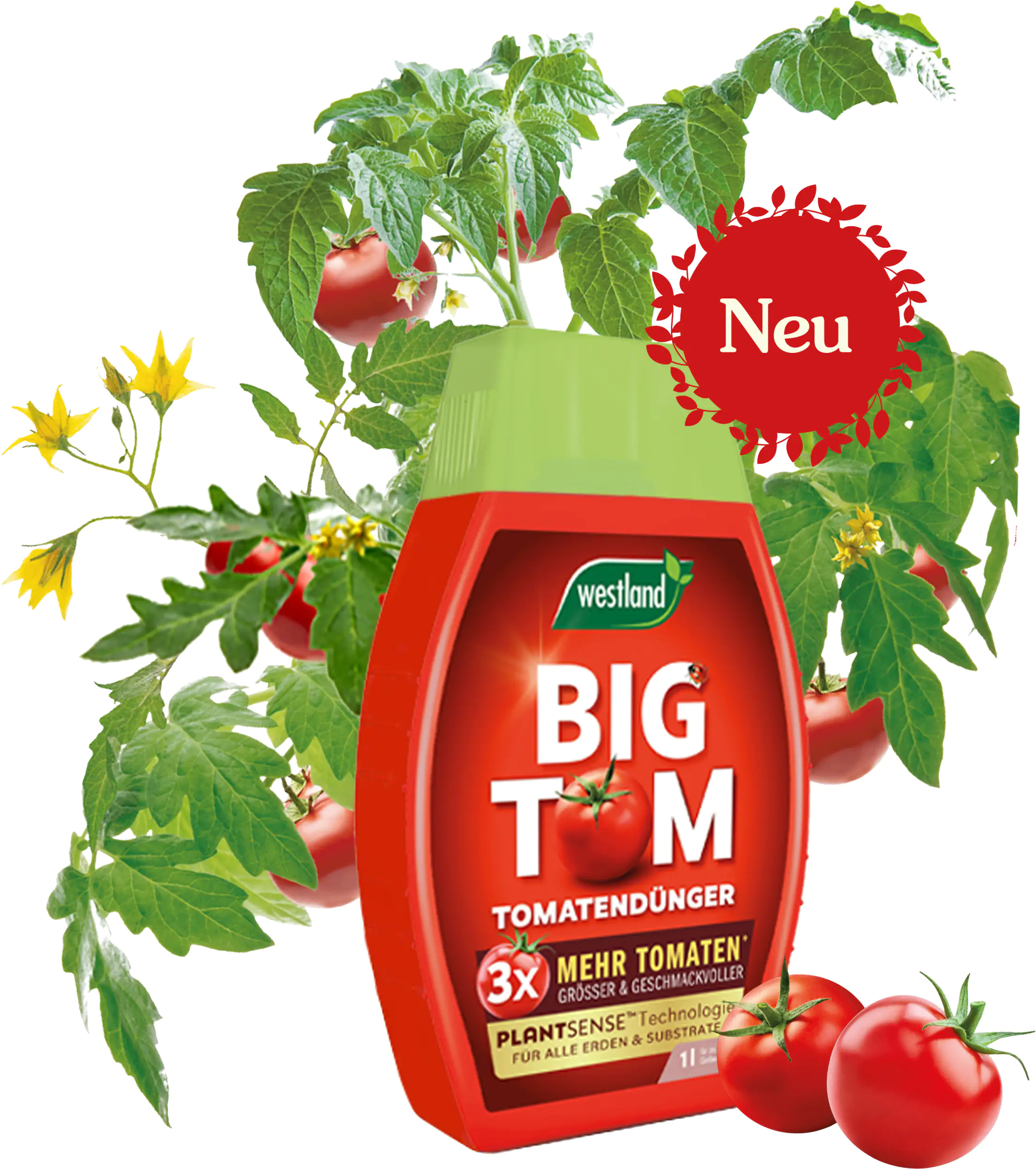 Westland Big Tom Tomatendünger 1 l