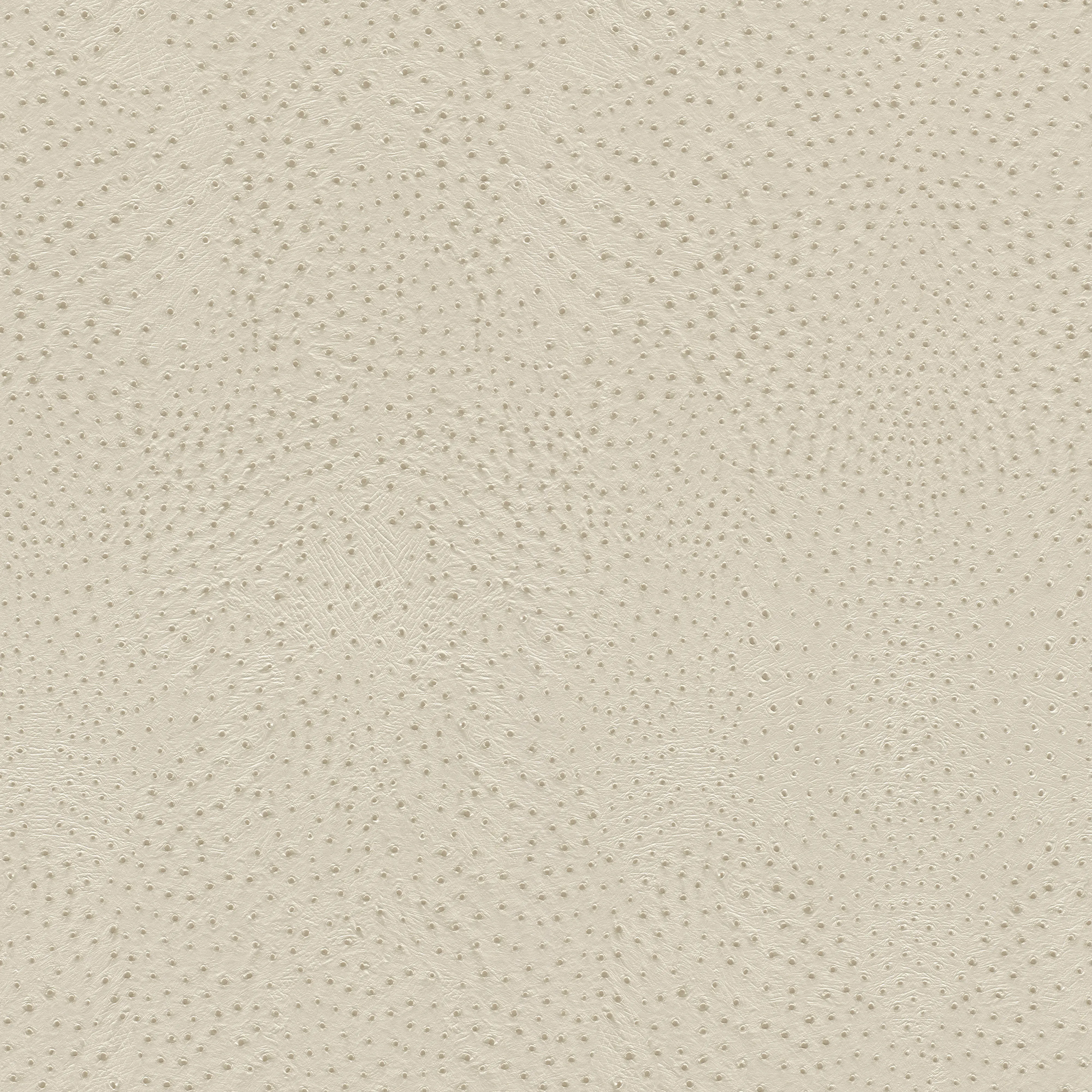 Rasch Vliestapete 751512 Beige-Hellbeige Muster & Motive 10,05 m x 0,53 m