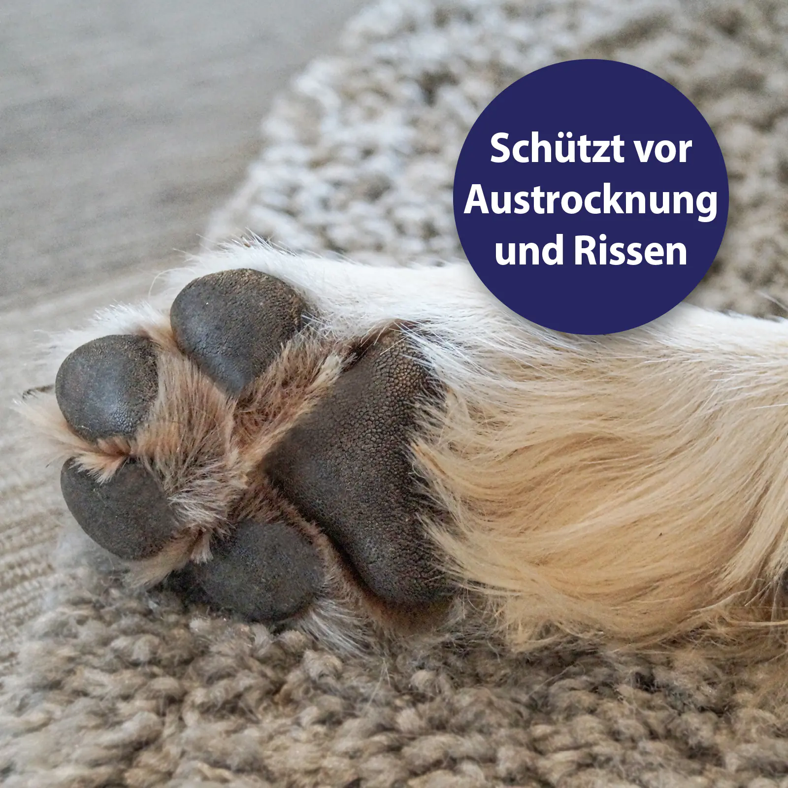 Canosept Pfotenpflege für Hunde 75 g