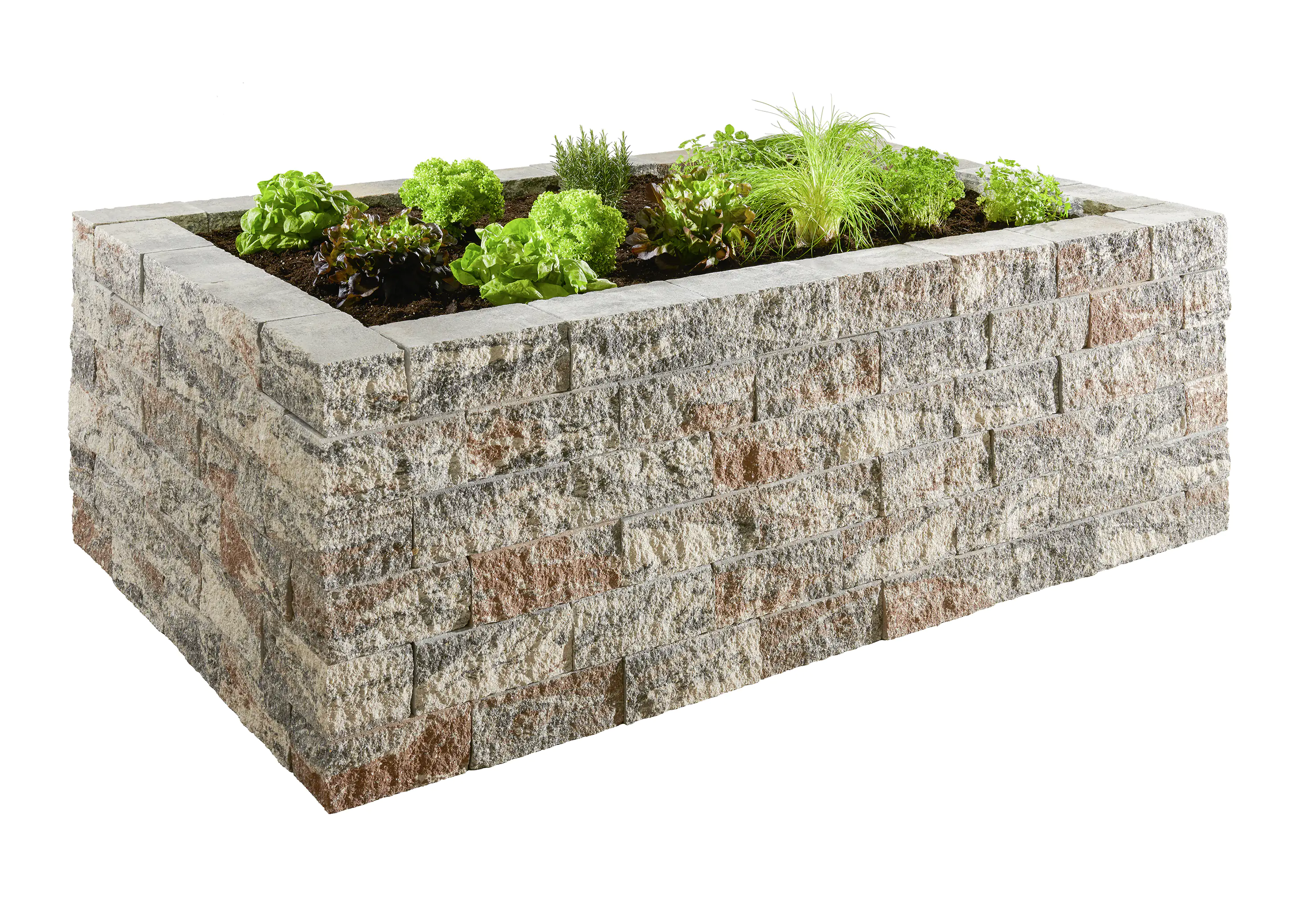 2082892424568 Primaster Hochbeet-Set San Marino 220 x 130 x 72 cm jura-nuanciert