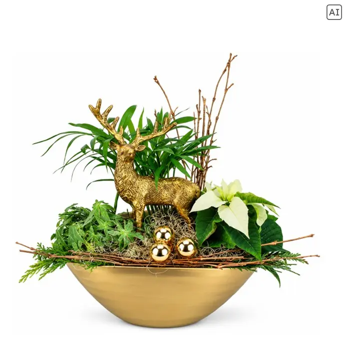 Weihnachtliches Arrangement Schale oval klein bepflanzt