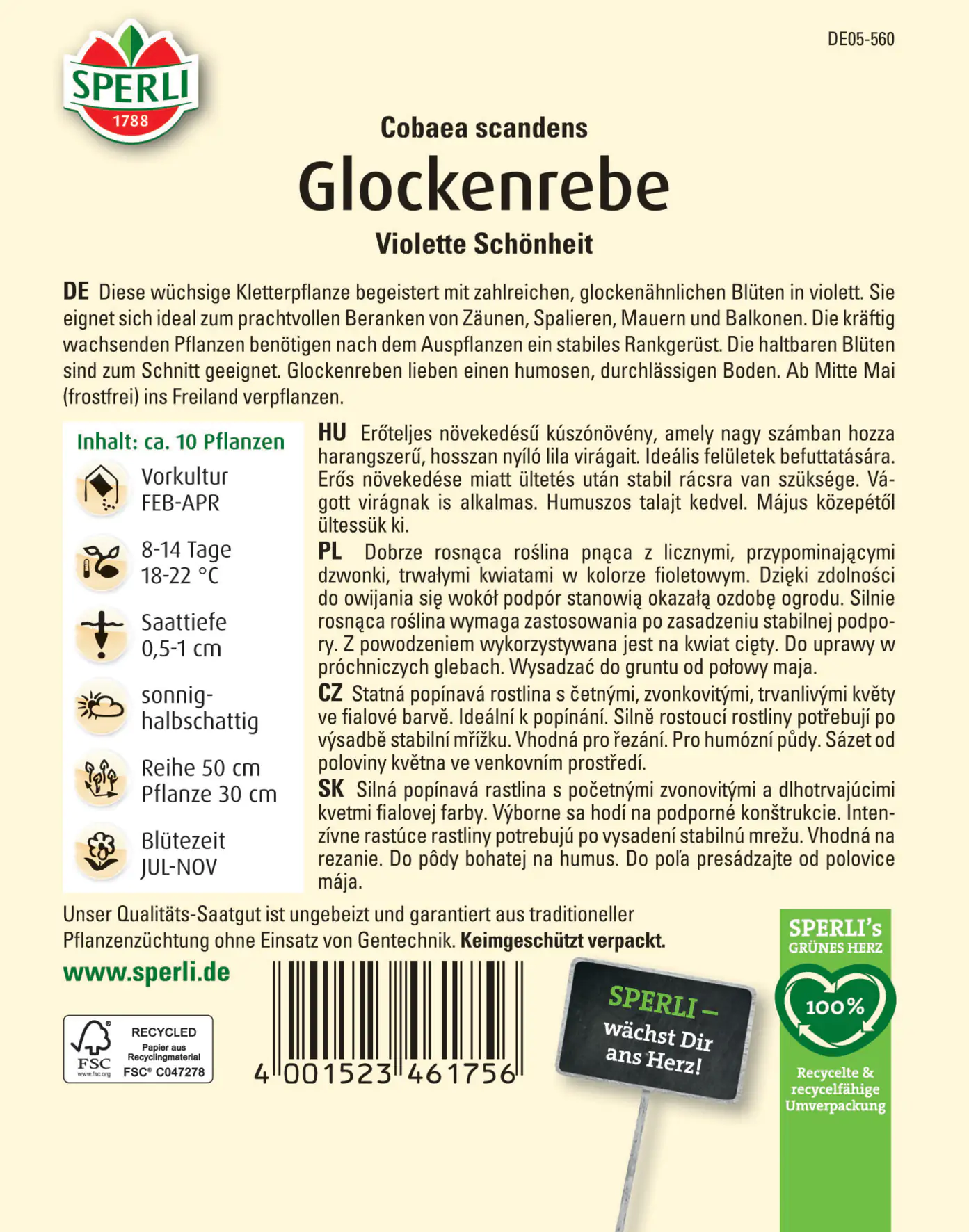 Sperli Glockenrebe Violette Schönheit
