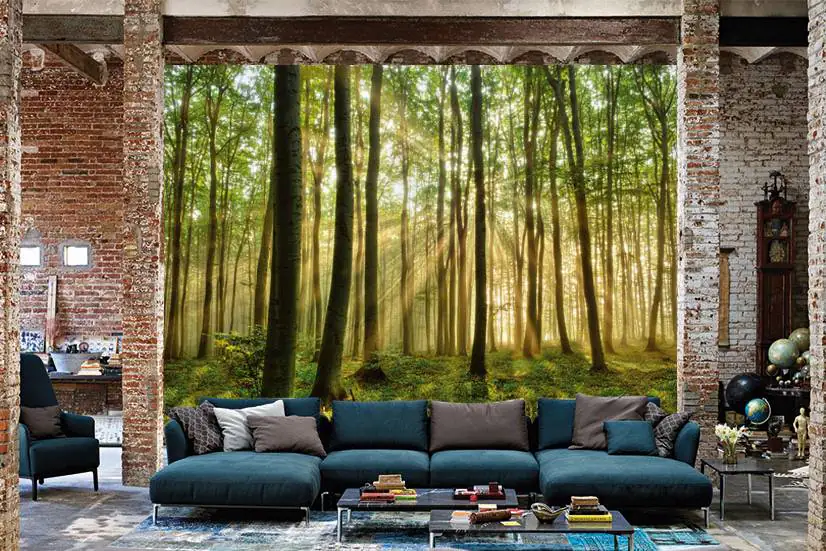 papermoon Vlies- Fototapete Digitaldruck 350 x 260 cm Forest papermoon Vlies- Fototapete Digitaldruck 350 x 260 cm Forest