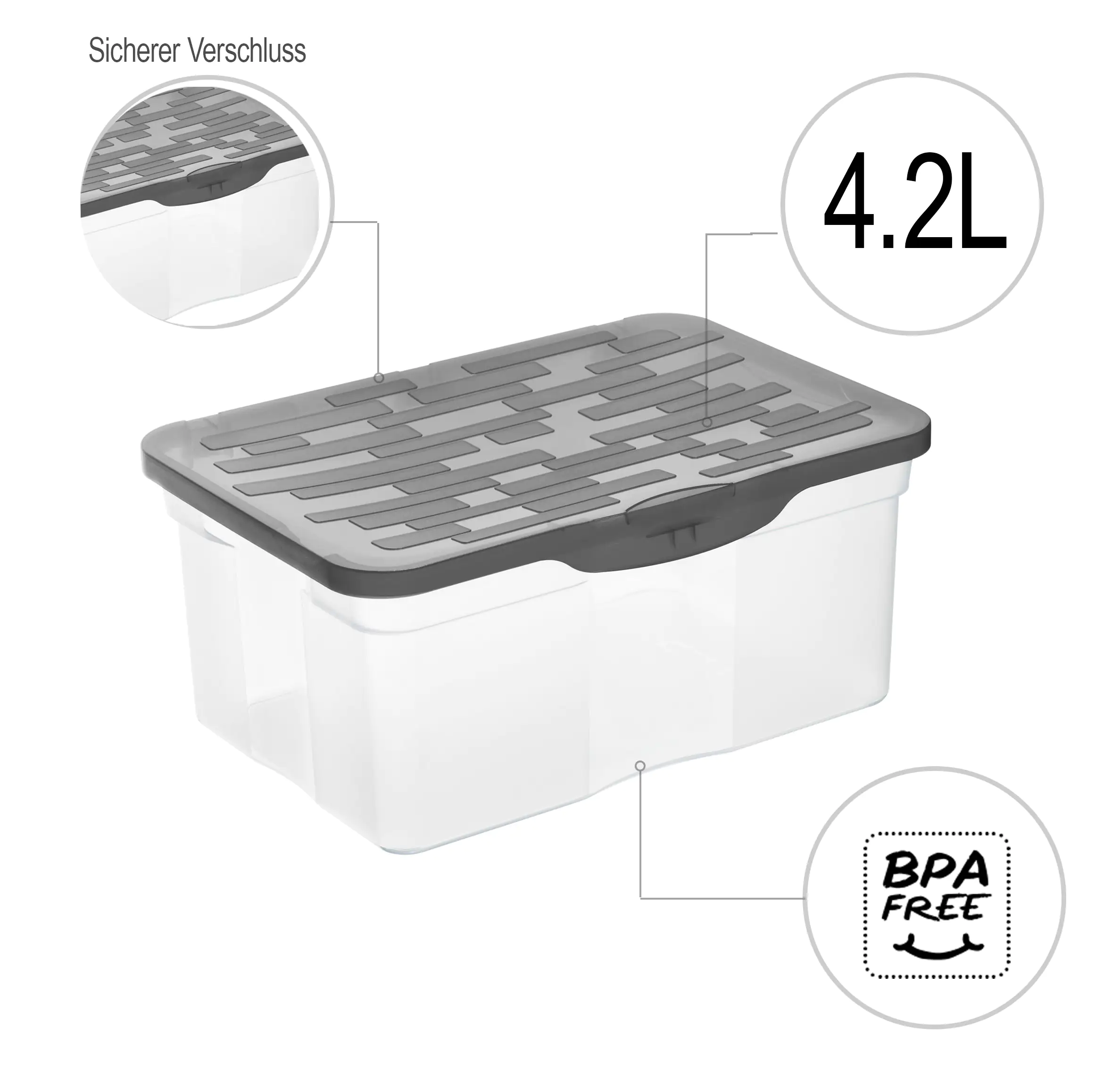 Rotho Aufbewahrungsbox Ranger A5 4,2 L transparent/anthrazit