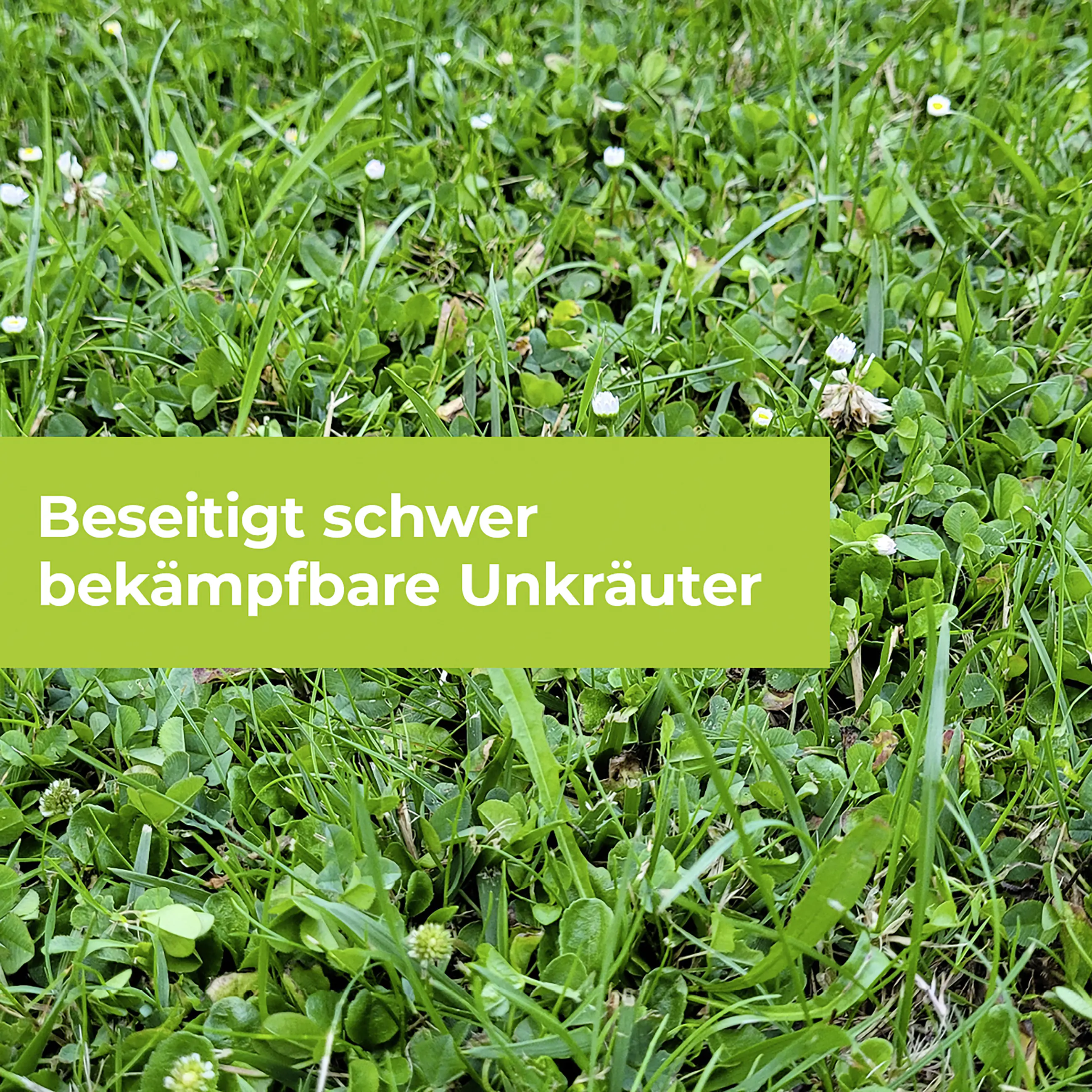 Protect Garden Loredo Quattro Universal Rasenunkrautfrei 400 ml