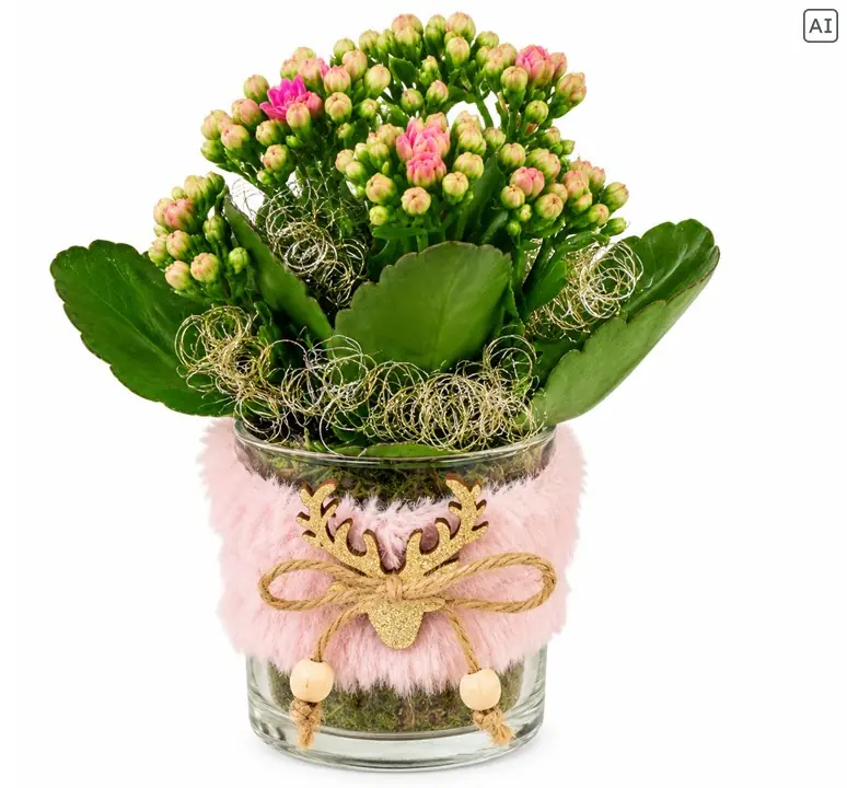 Weihnachtliches Arrangement Teelichtglas Hirsch bepflanzt