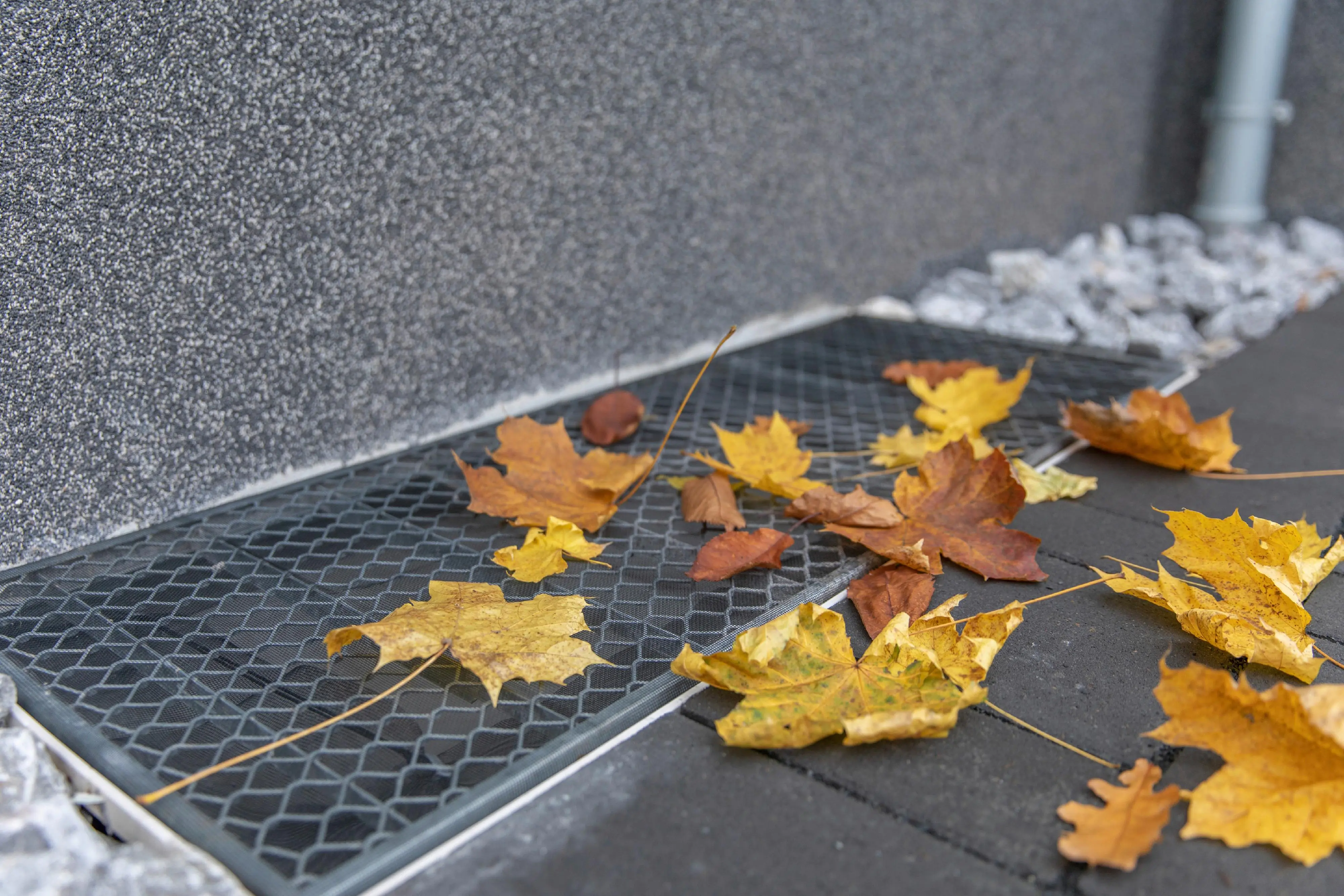 Sauberer Lichtschacht 50x125 cm 50x125 cm