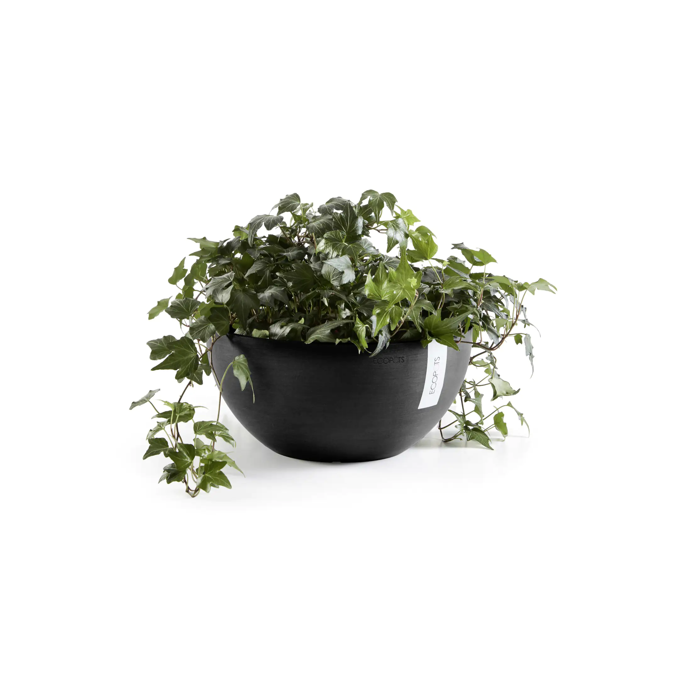 Ecopots Pflanztopf Brussels Ø 35 x 16,5 cm dunkelgrau