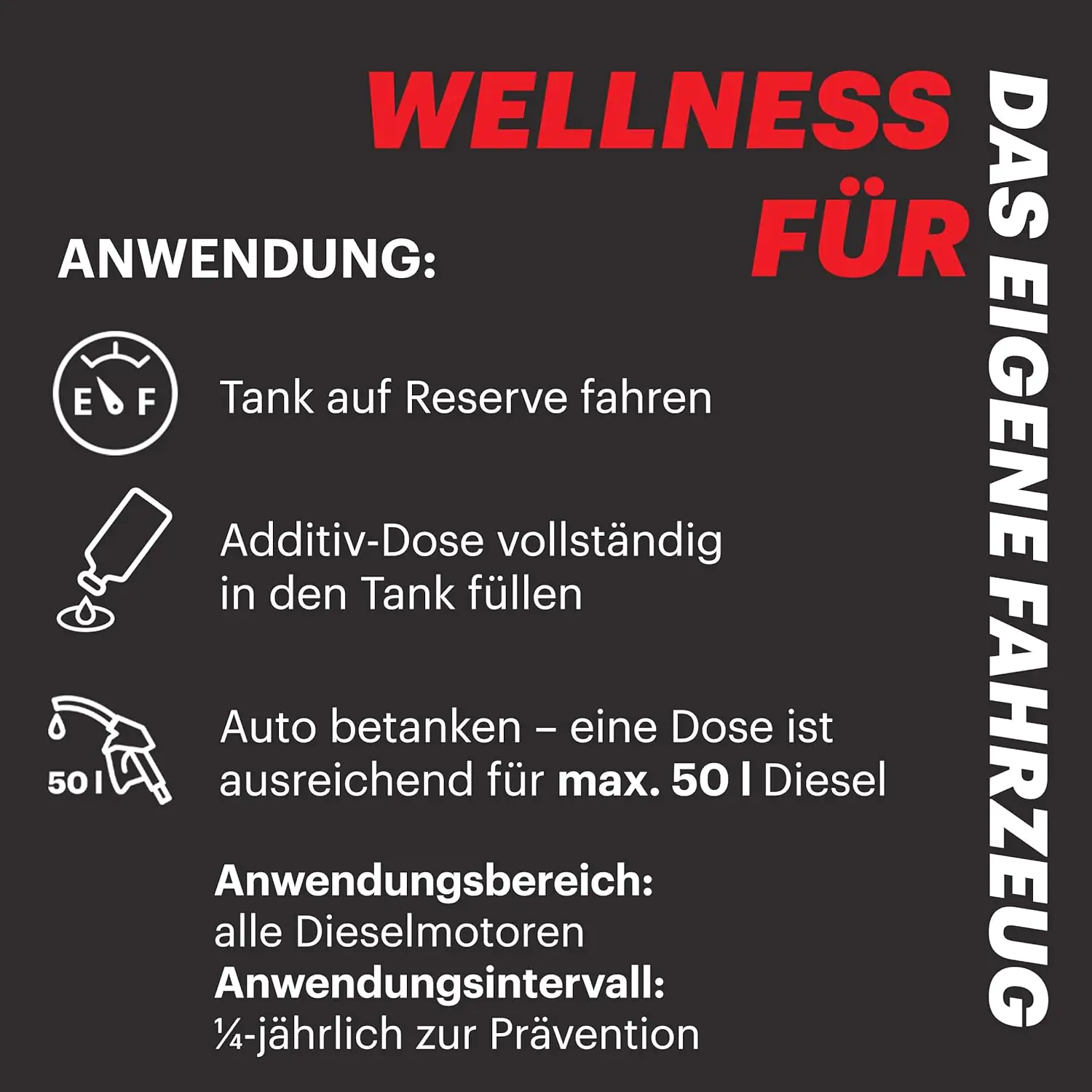 Motul Diesel Systempflege 300ml