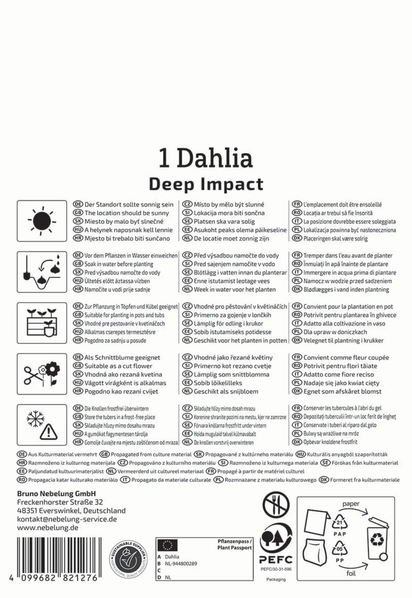 Kiepenkerl Frühjahrsblumenzwiebel Dekorative Dahlie Deep Impact 1 Stück