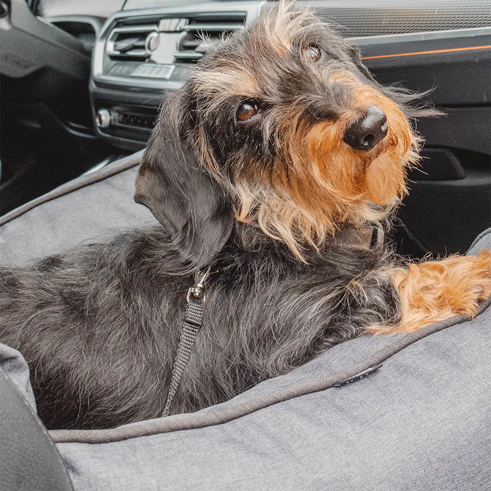 Nobby Autositz Kadek für Hunde 55 x 50 x 34 cm dunkelgrau