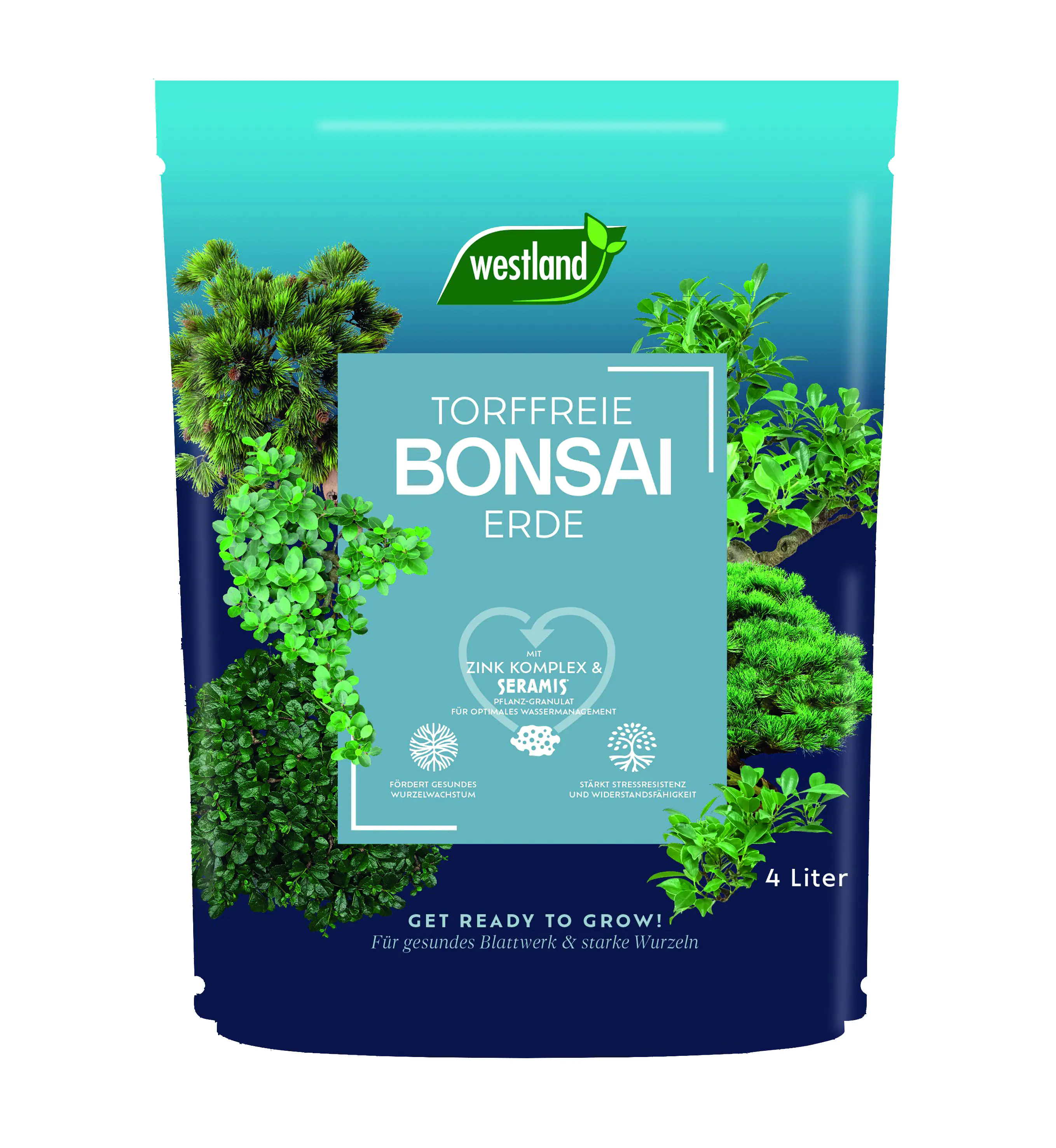 Westland Bonsai Erde torffrei 4 L