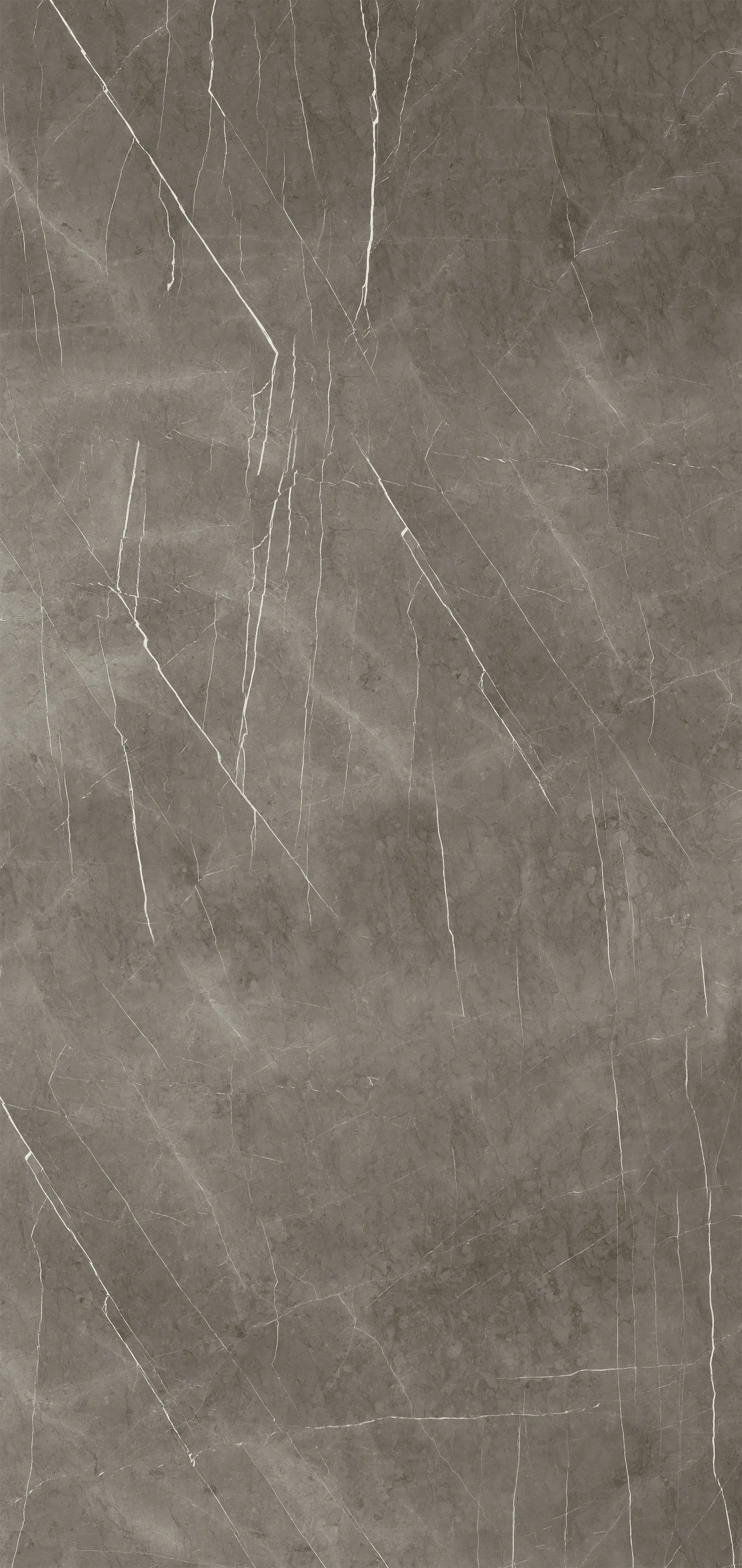 Classen Wandverkleidung Vario Marble Grey 255 x 120 cm x 3 mm