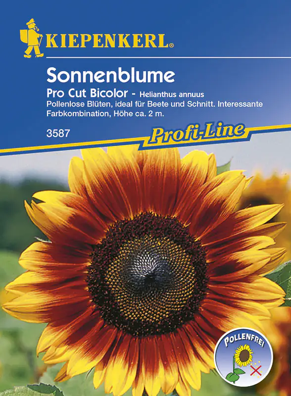 4000159185876 Kiepenkerl Sonnenblume Pro Cut Bicolor Helianthus annuus, Inhalt: ca. 20 Pflanzen