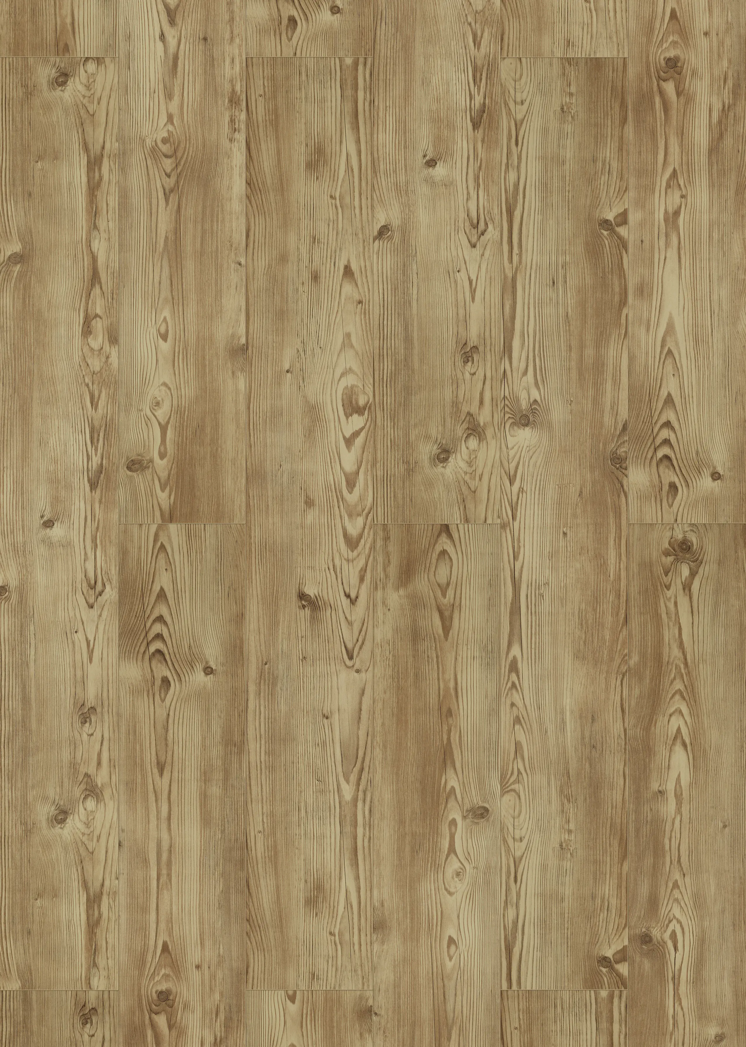 Classen Laminat Megaloc Aquaprotect XL Himalaja Fichte LHD Classen Laminat Megaloc Aquaprotect XL Himalaja Fichte LHD