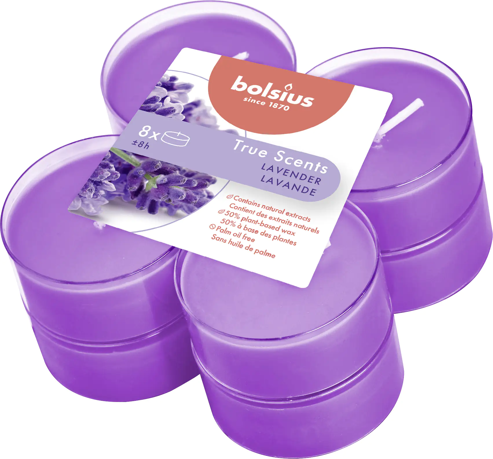 8717847137920 Bolsius Duftteelichter Maxi Lavendel, Höhe 1,17 cm, Ø 4,5 cm, 6er Pack