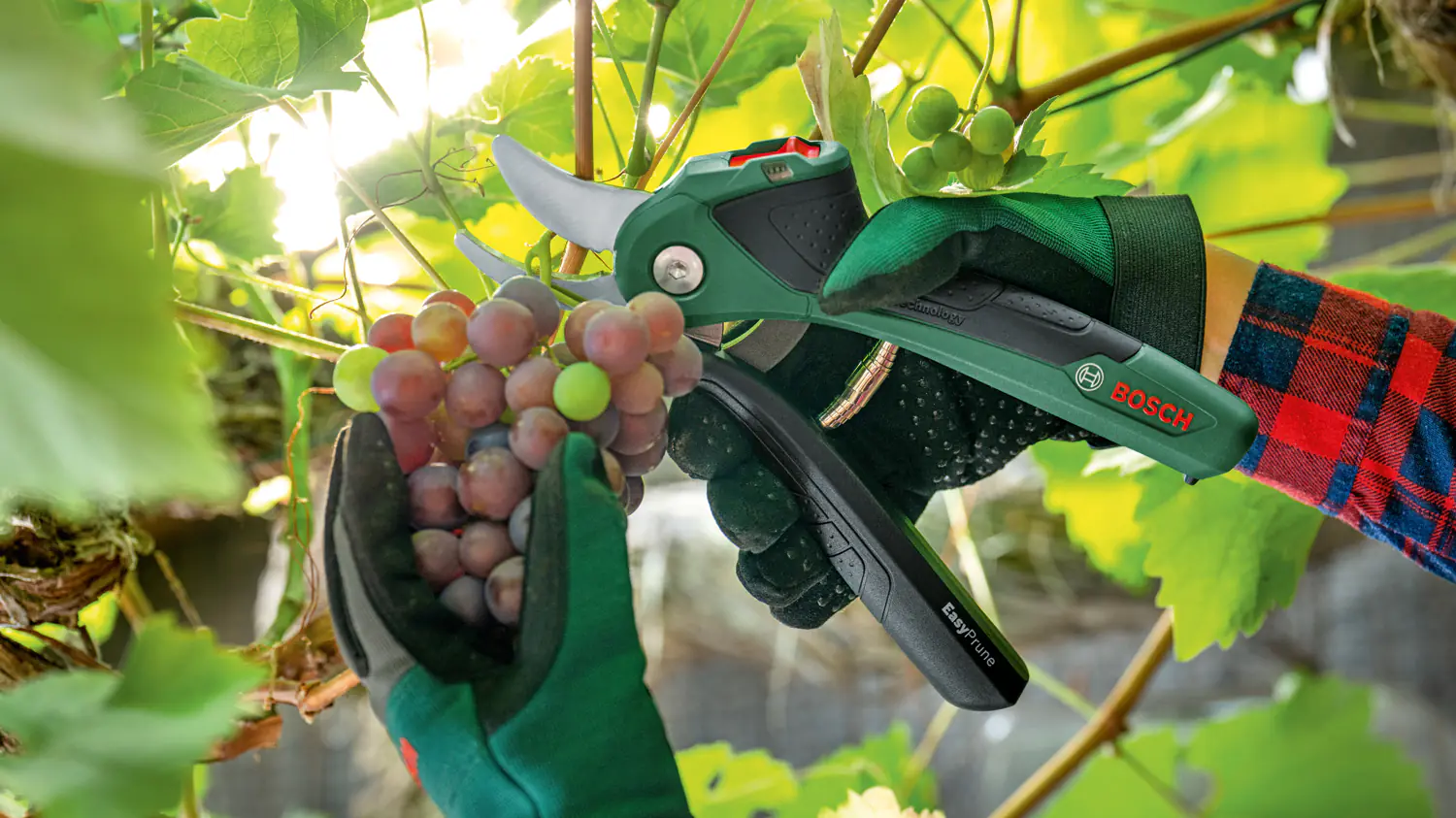 Bosch Akku-Gartenschere EasyPrune inkl. Ladekabel