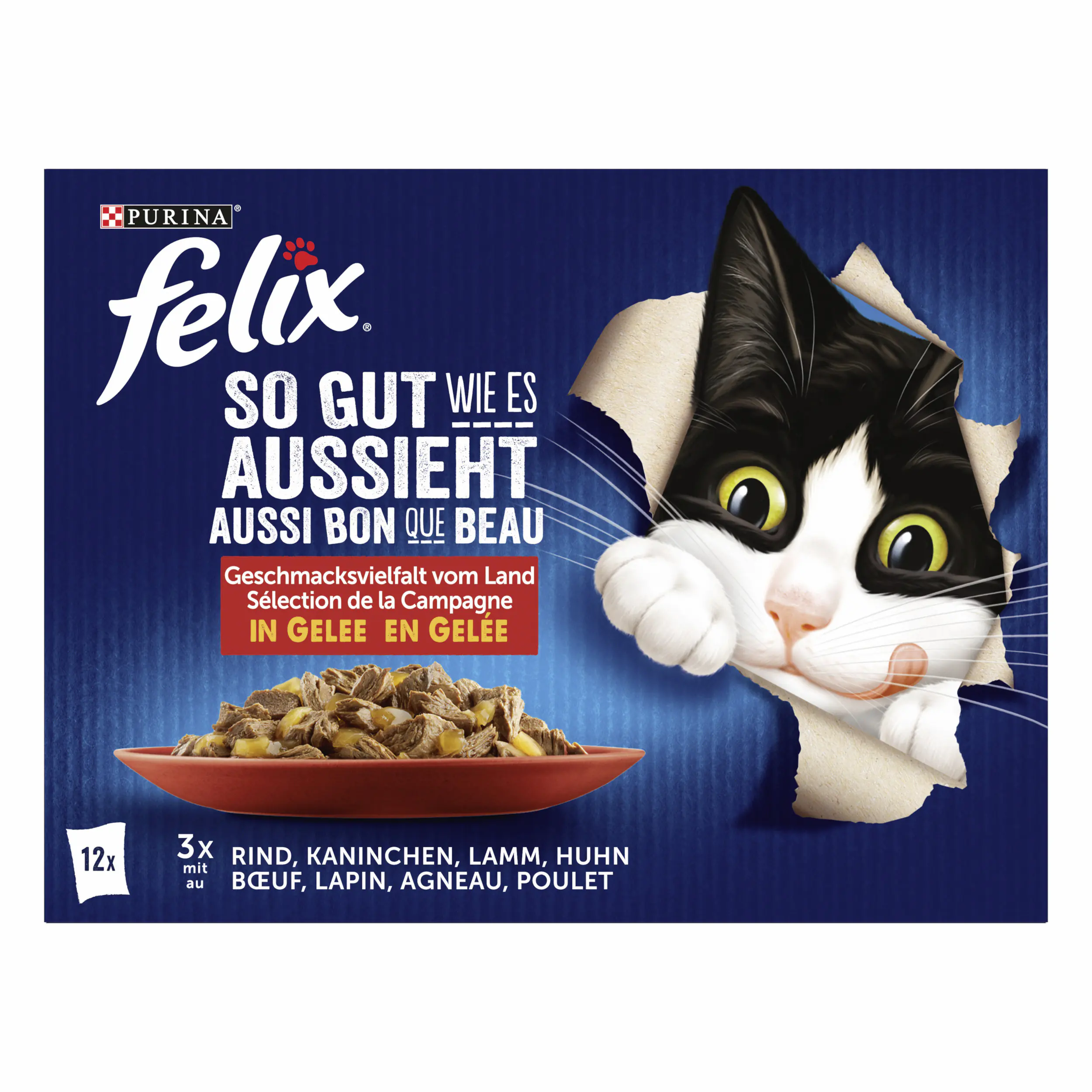 Felix Geschmacksvielfalt vom Land in Gelee Katzenfutter 12 x 85gn