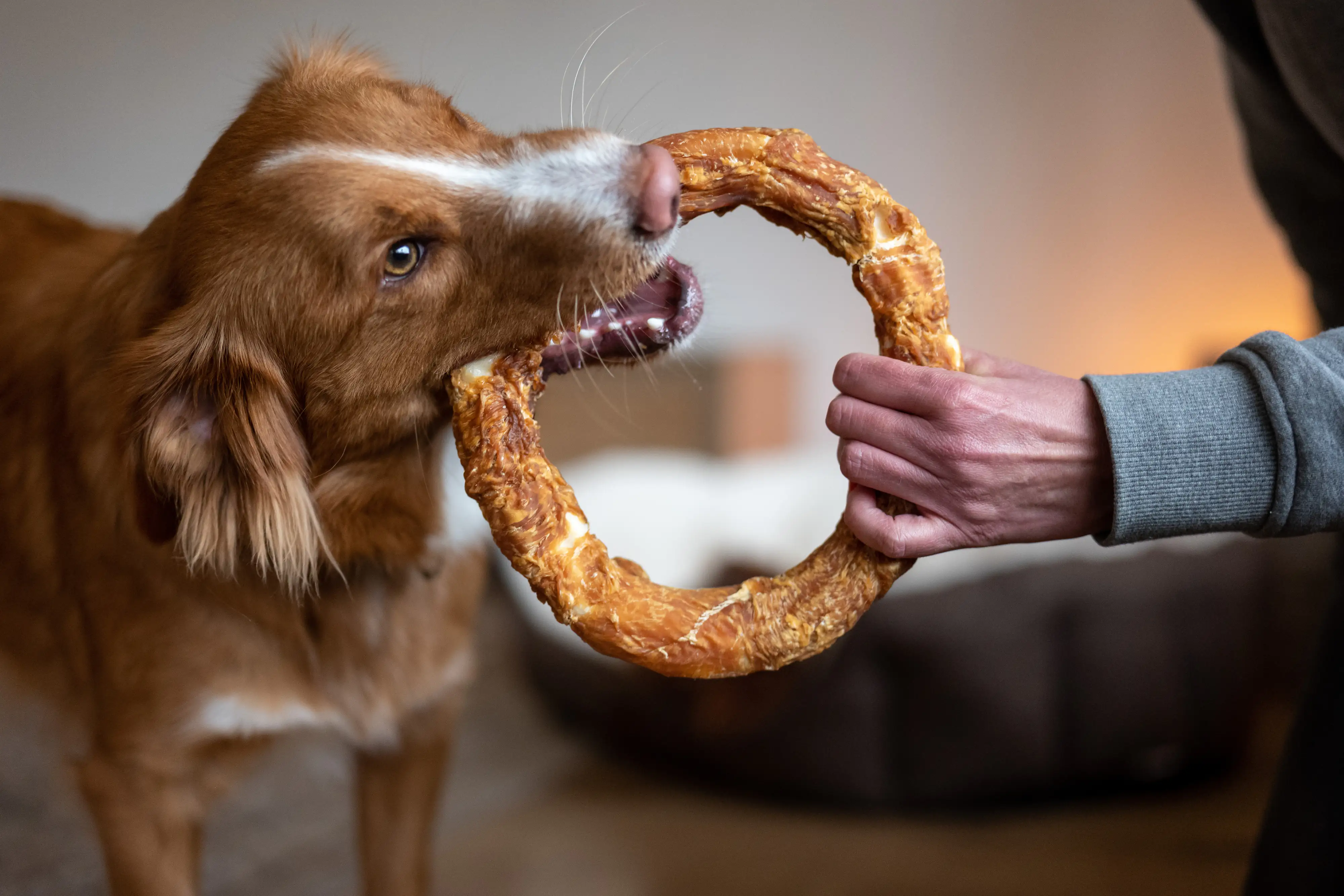 Nobby StarSnack Barbecue Chicken Donut XL ca. 20 cm, 220 g