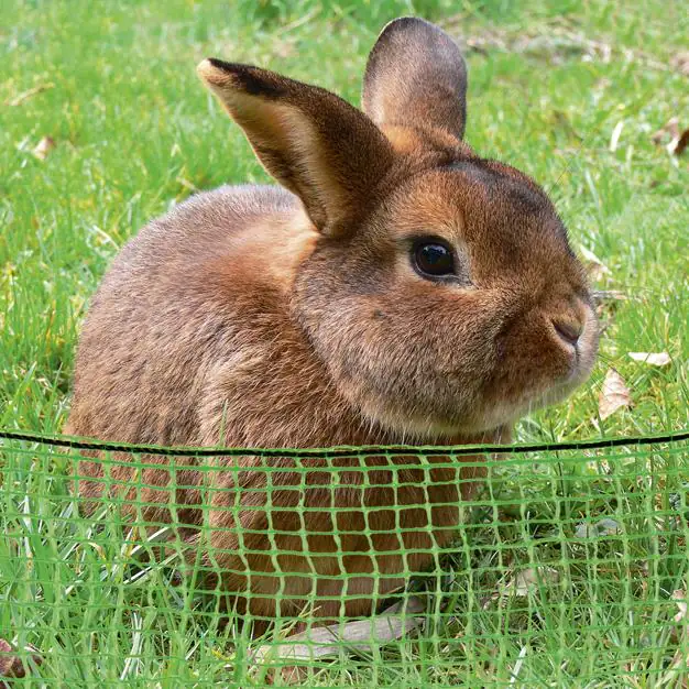 Category image Tiergehegenetz