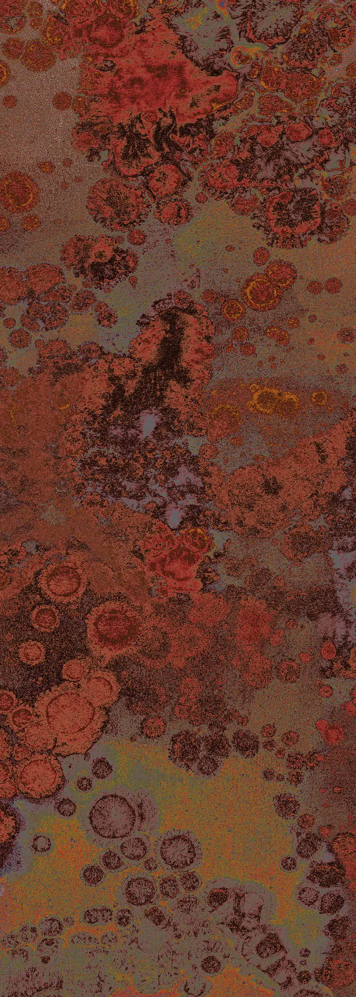 Komar Vlies Fototapete Patina 100 x 280 cm 