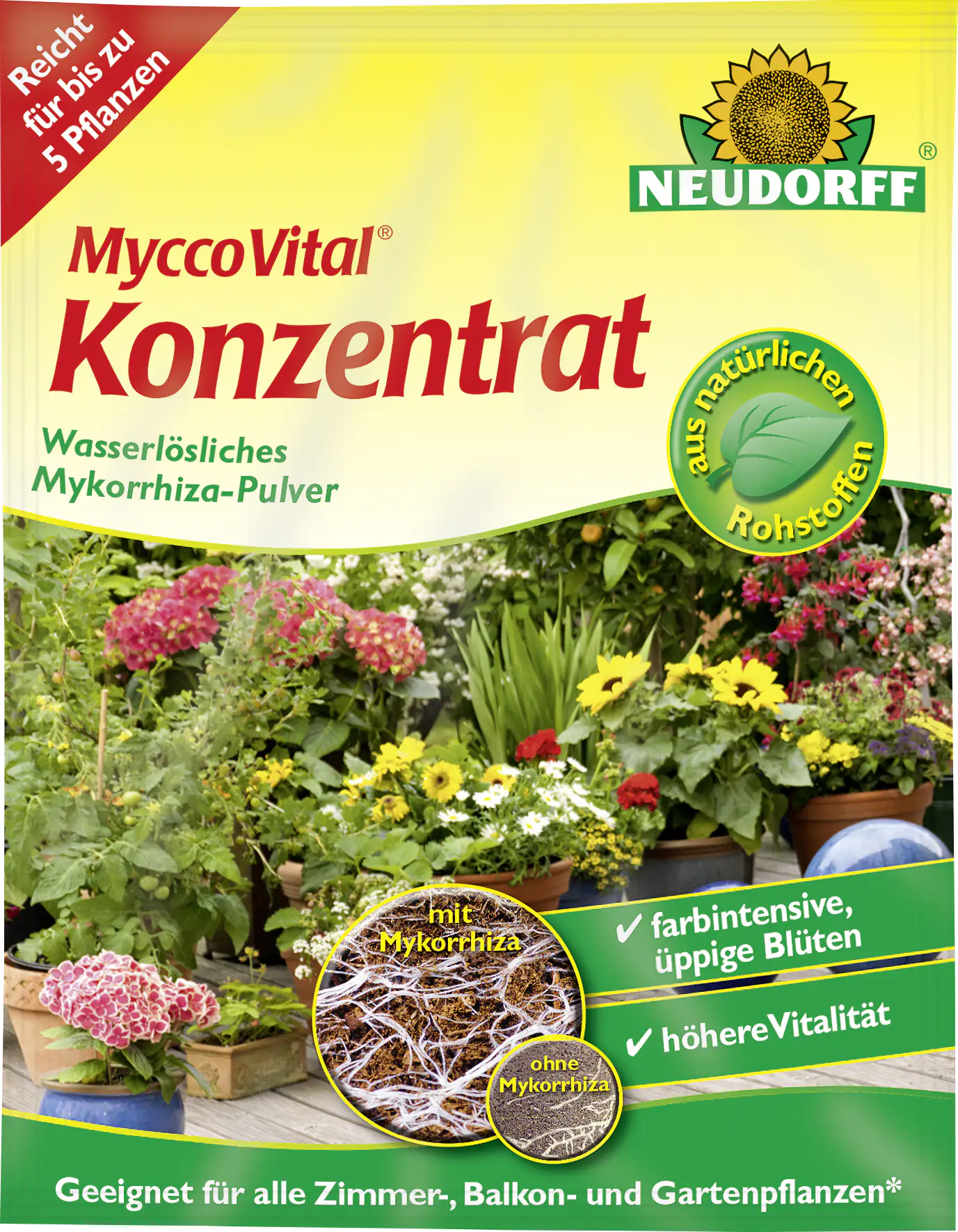 4005240004852_1092430 MyccoVital Konzentrat 1g