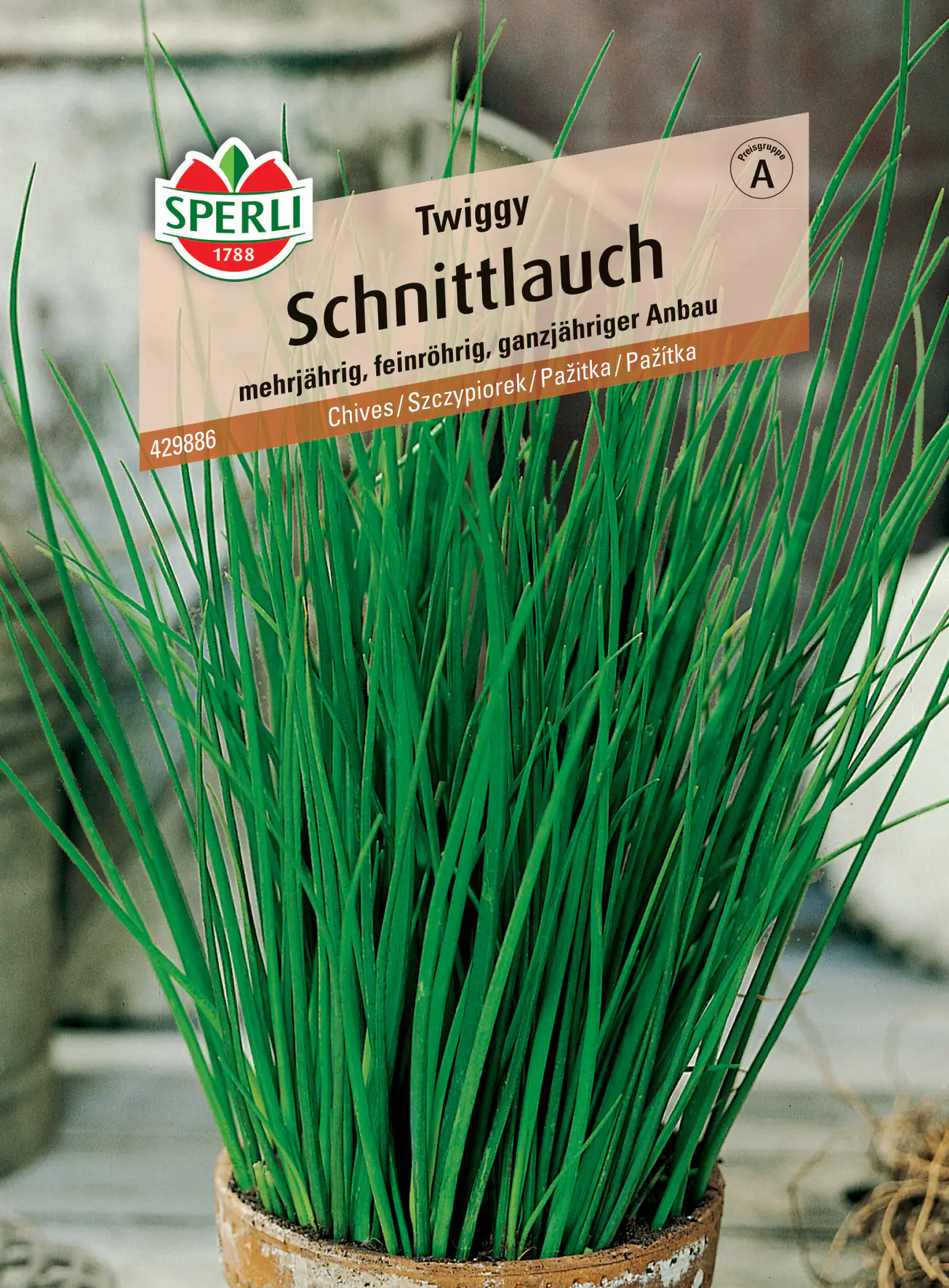 Sperli Schnittlauch Twiggy Sperli Schnittlauch Twiggy