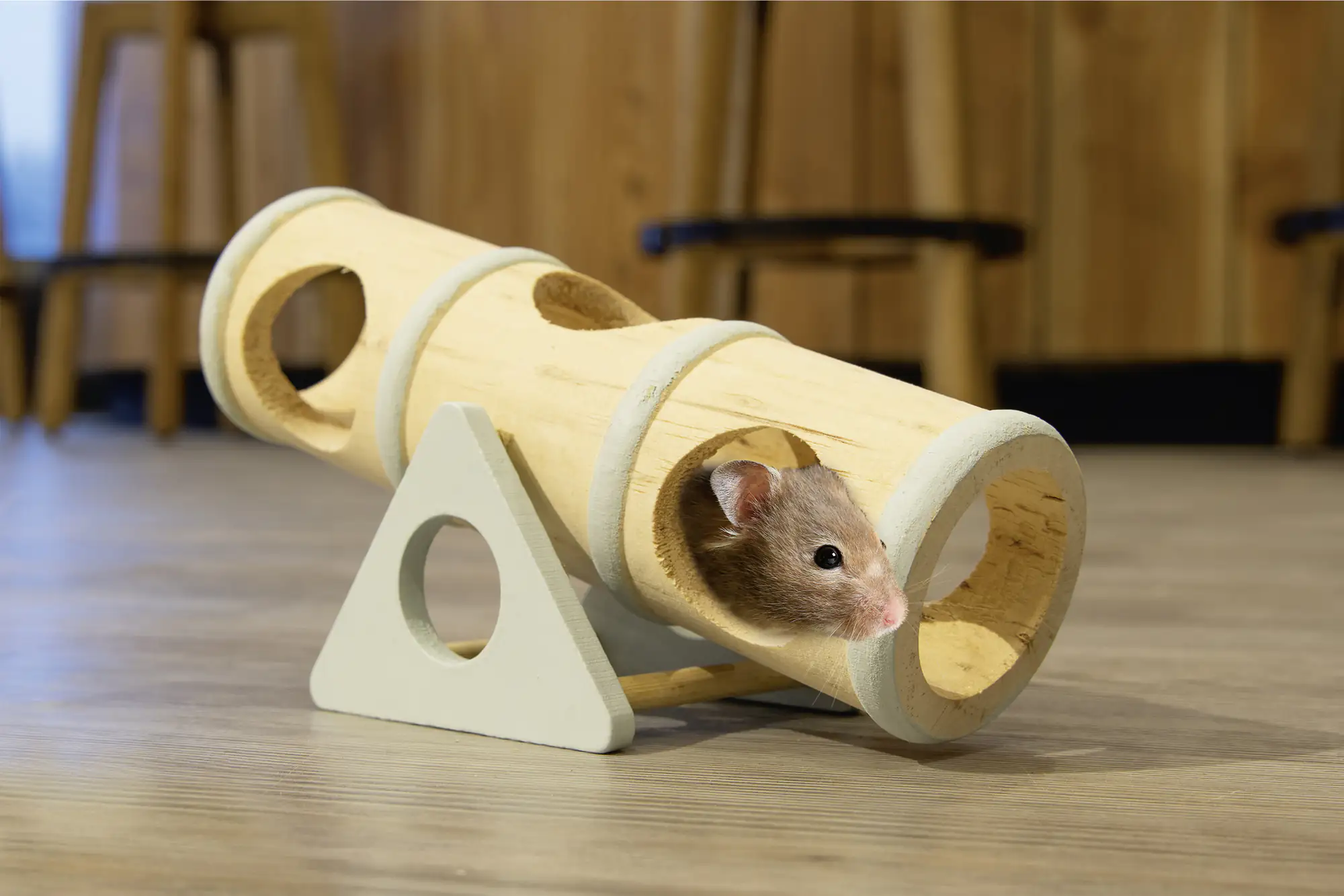 Beeztees Nager Spielzeug Clovis Holz  Beeztees Nager Spielzeug Clovis Holz