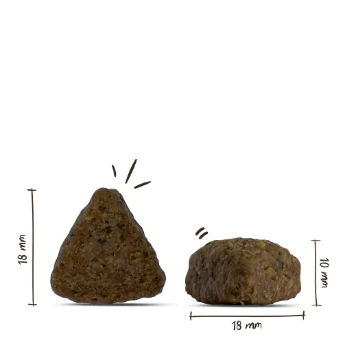 Bosch Trockenfutter für Hunde Adult 3 kg mit Lamm & Reis Bosch Trockenfutter für Hunde Adult 3 kg mit Lamm & Reis