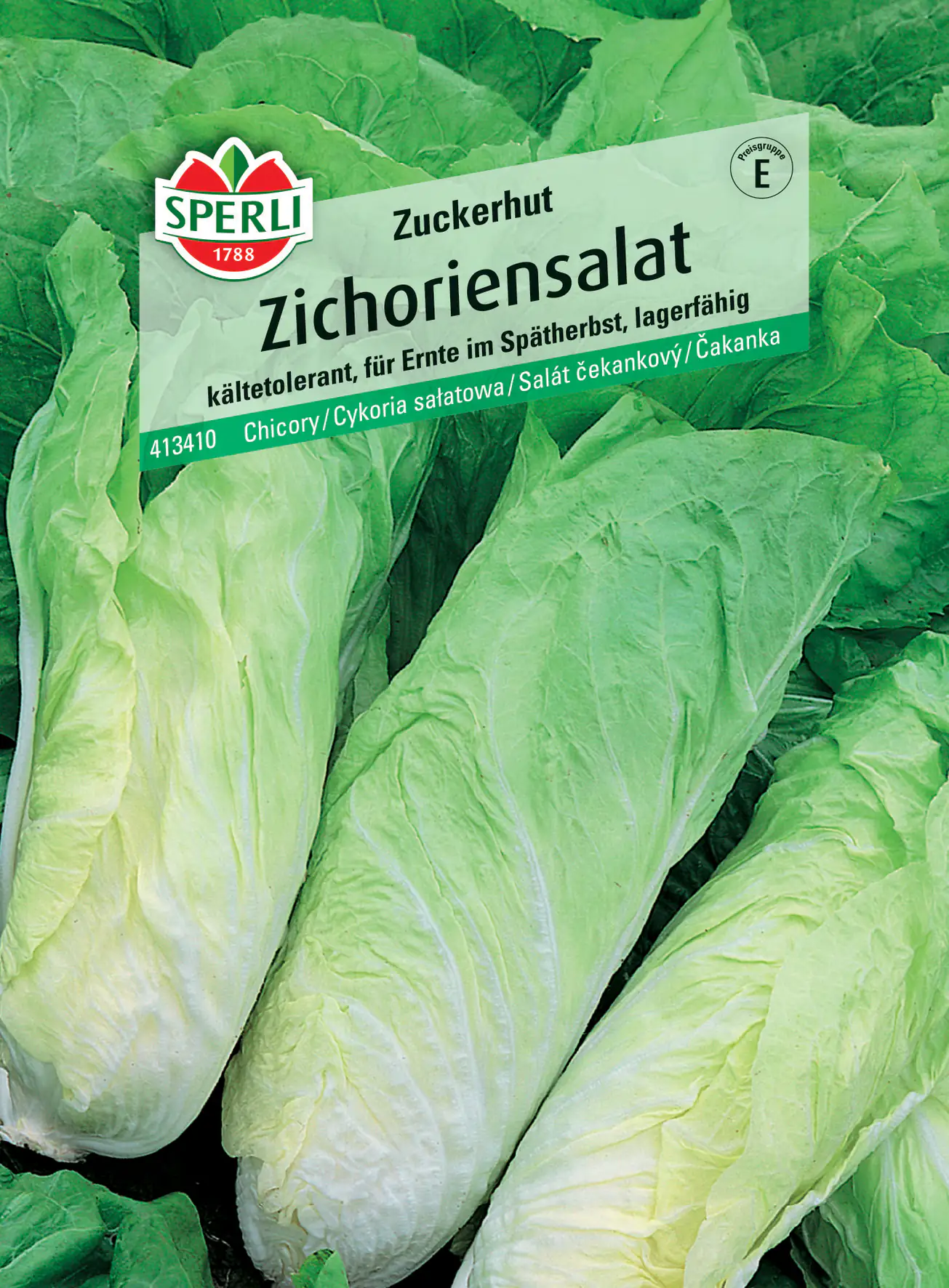 Sperli Zichoriensalat Zuckerhut Sperli Zichoriensalat Zuckerhut