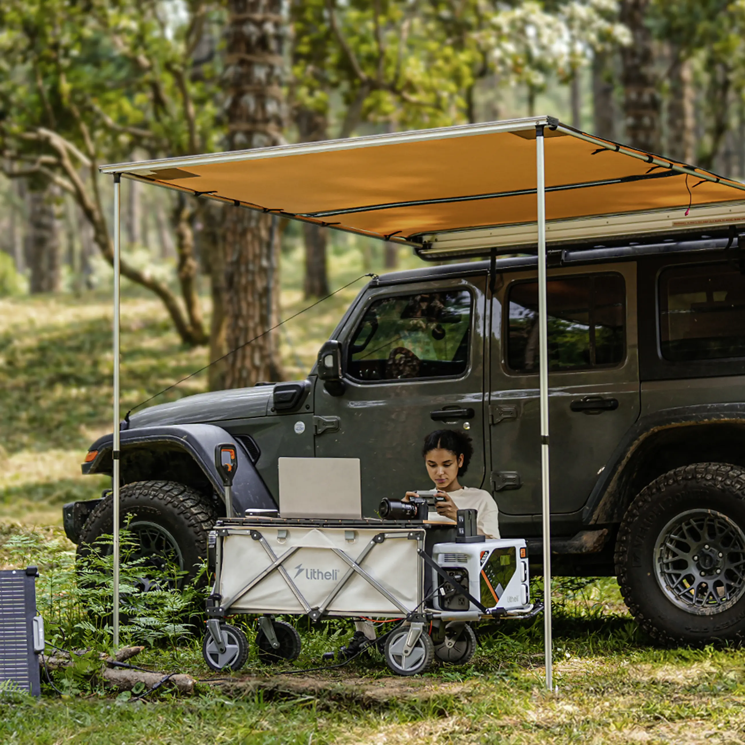 Litheli Bollerwagen 450 W W1 Pro, inkl. Akku 4.0 Ah