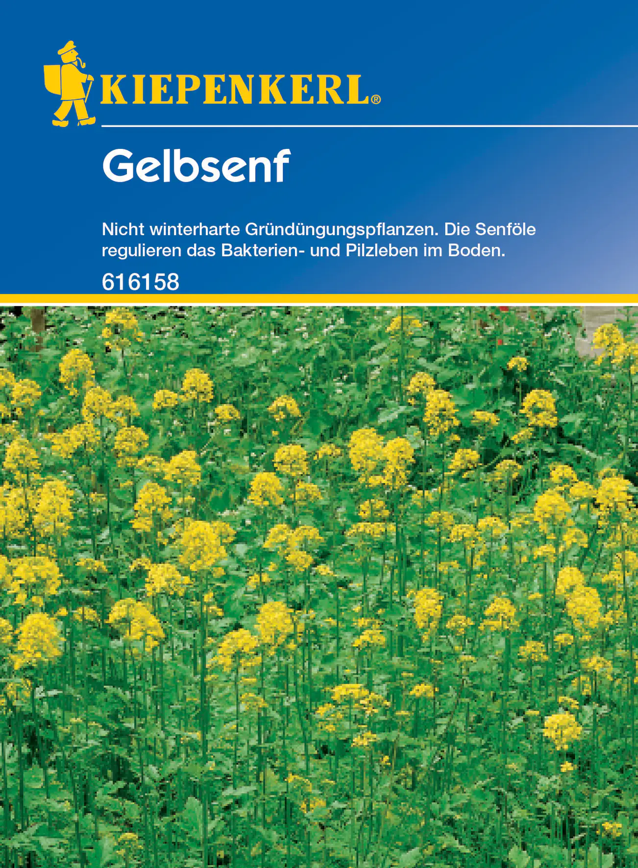 Kiepenkerl Gelbsenf 80 g