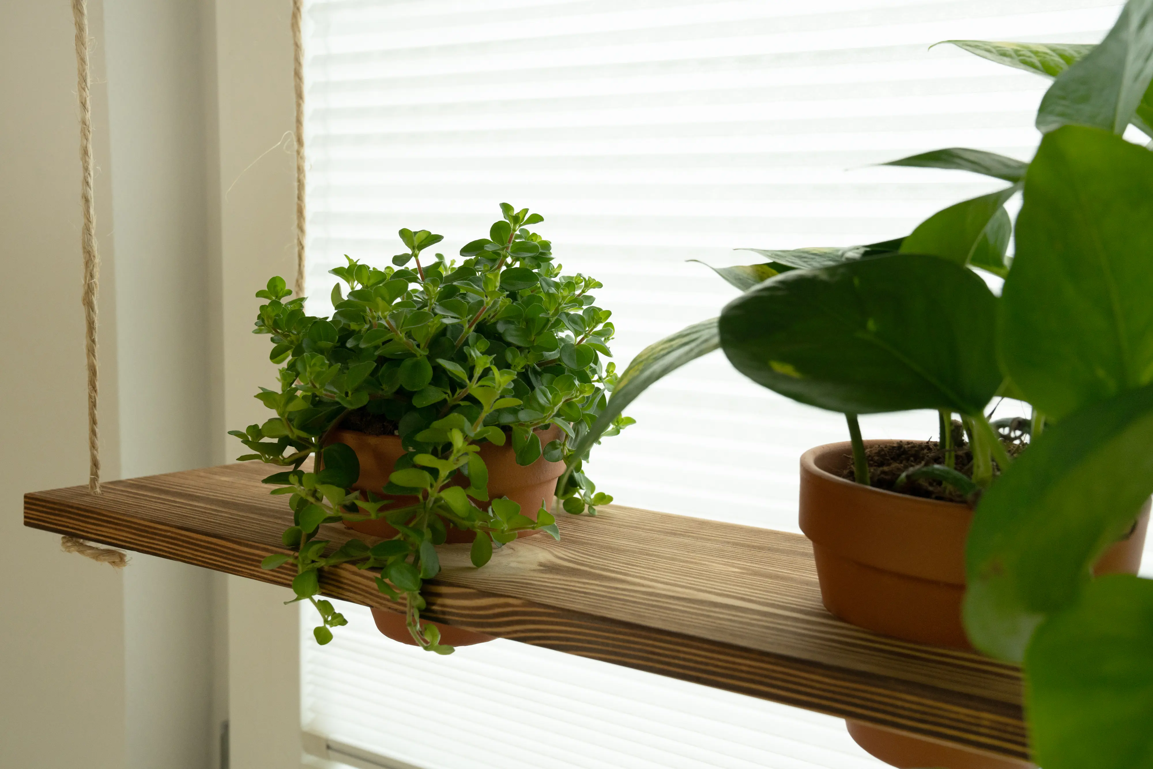 Rettenmeier Leimholzplatte geflammt 80 x 20 x 1,8 cm