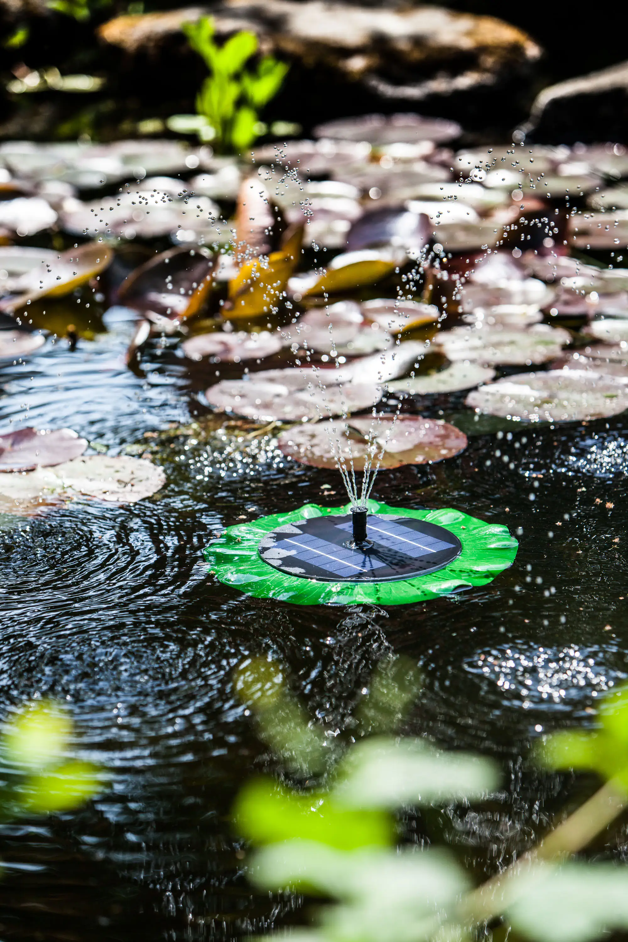 Heissner schwimmende Solarinsel 150 l/h