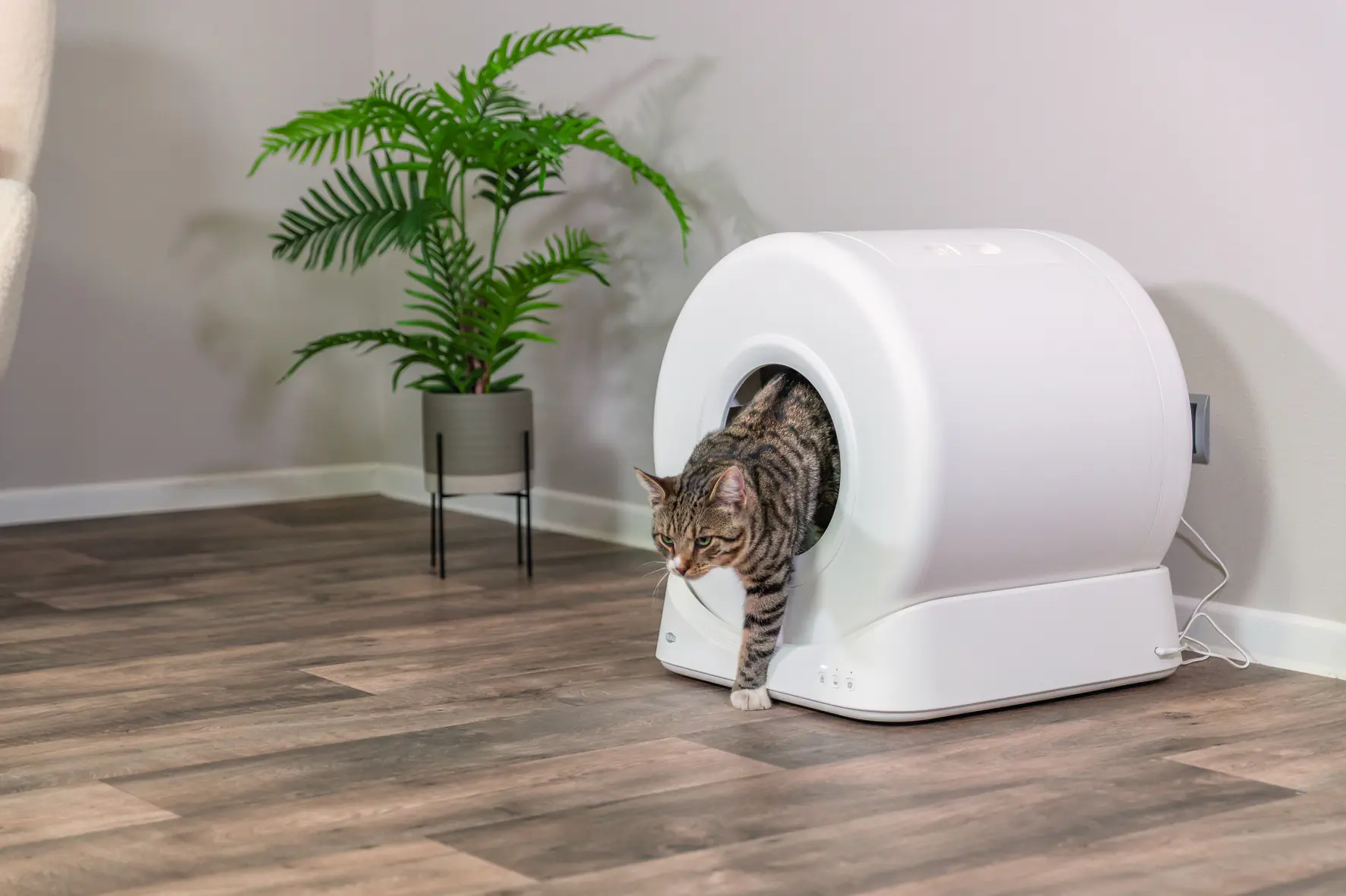 Trixie Selbstreinigende Katzentoilette 51 x 56 x 54 cm weiß