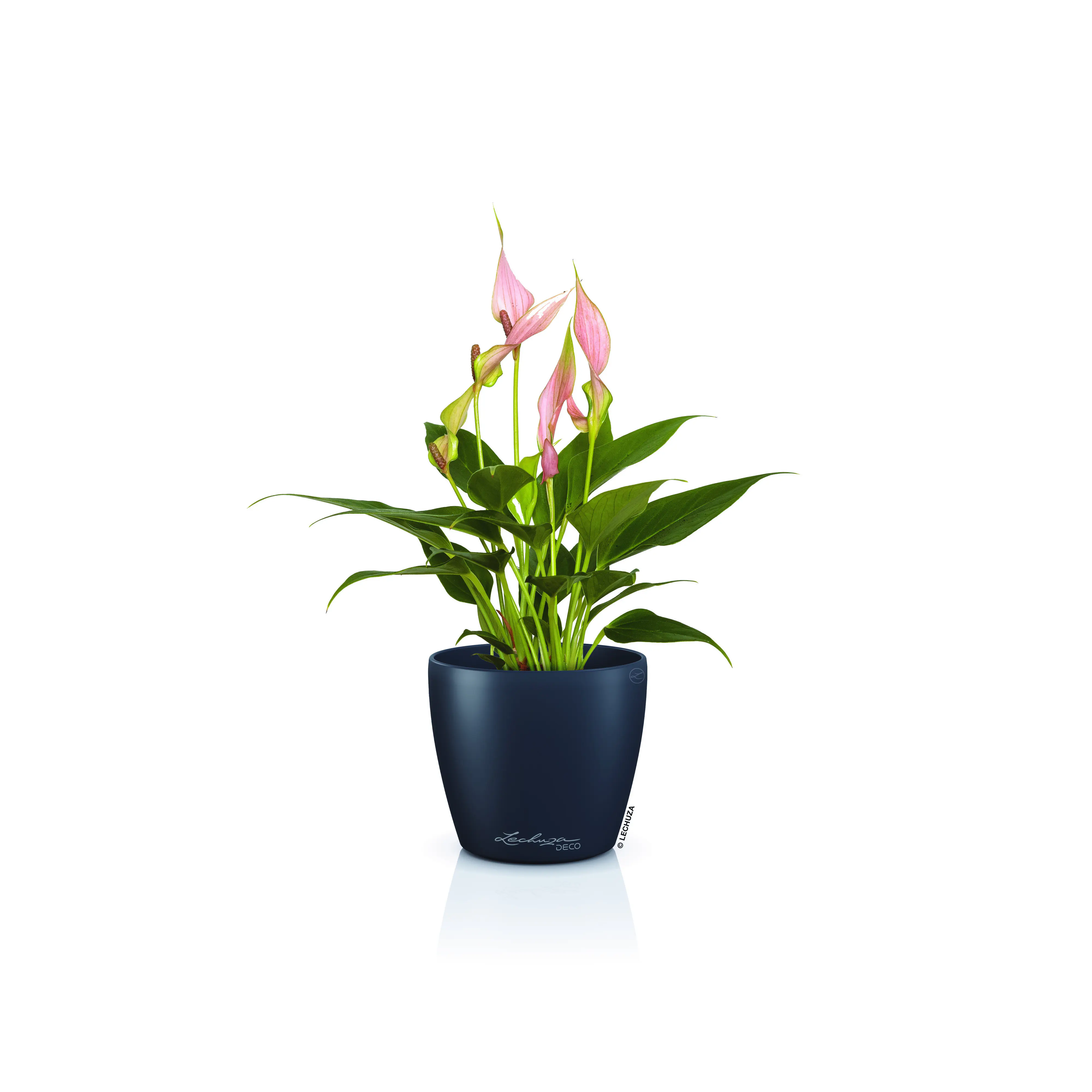 Lechuza Pflanztopf Deco 12 Ø 13,2 x 11,8 cm schiefergrau