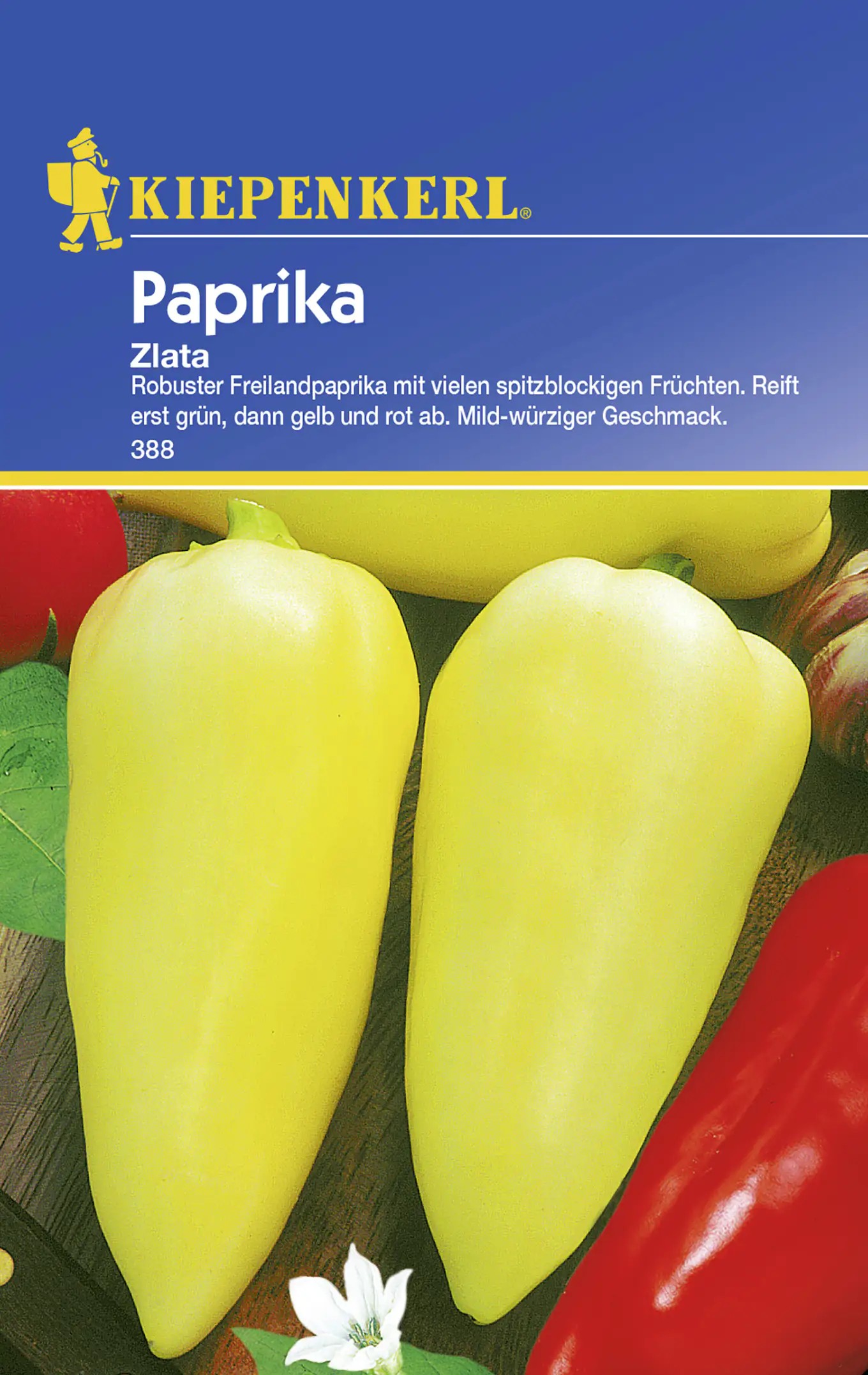 Kiepenkerl Paprika Zlata Capsicum annuum, Inhalt: ca. 40 Pflanzen