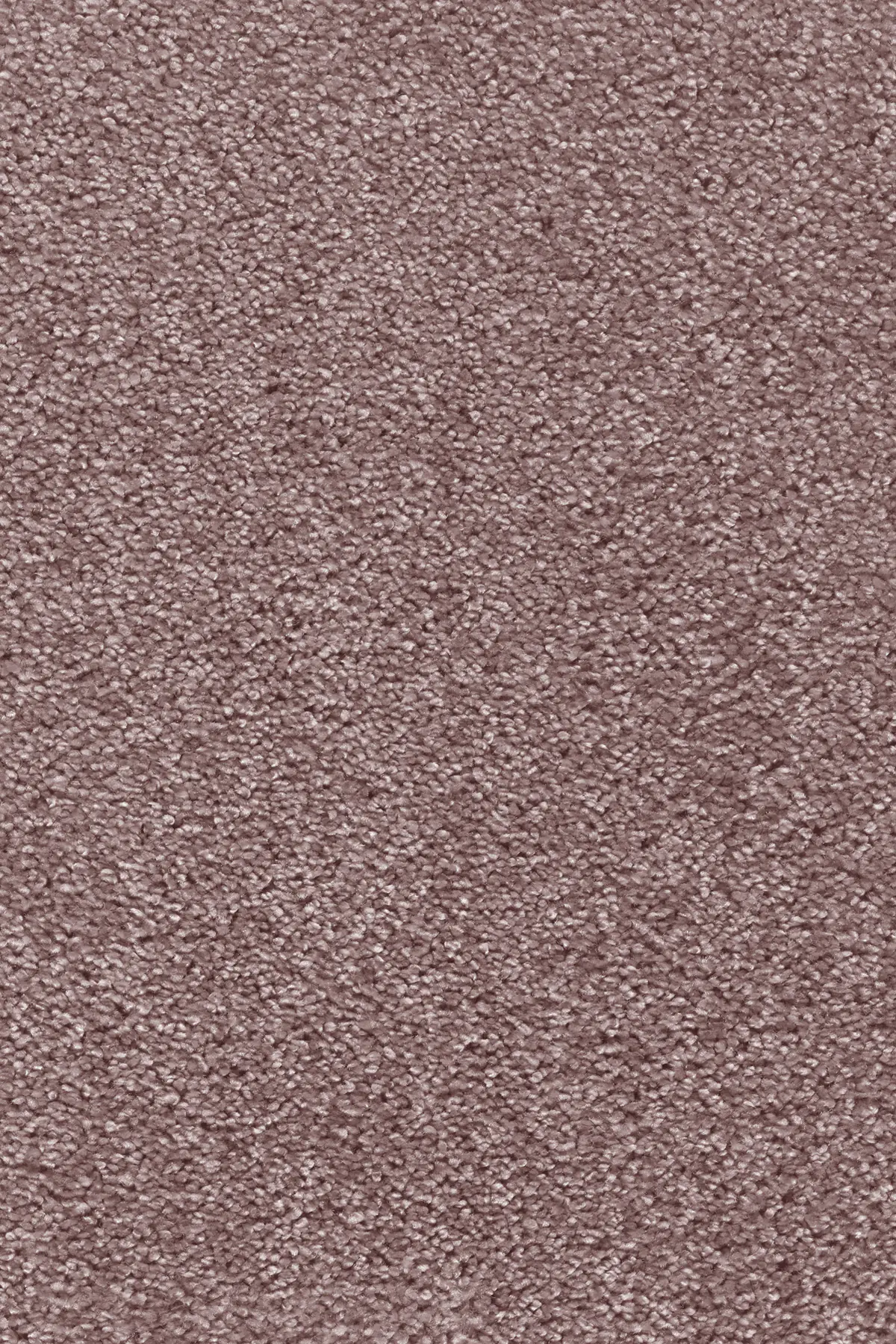 Teppichboden Lea altrosa 5 m breit (Meterware)