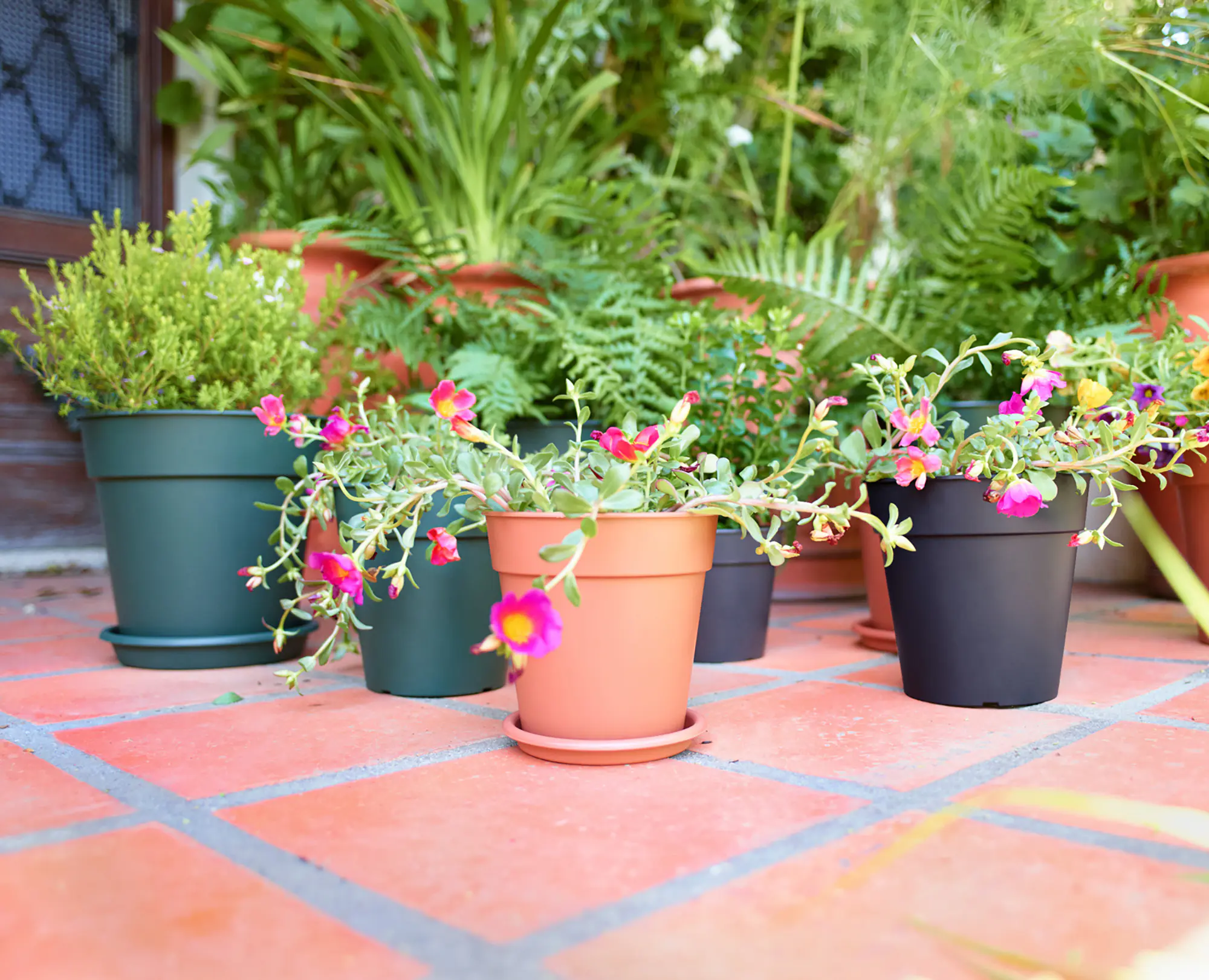 Artevasi Blumentopfuntersetzer Redondo Kunststoff rund terrakotta matt Ø 26 cm