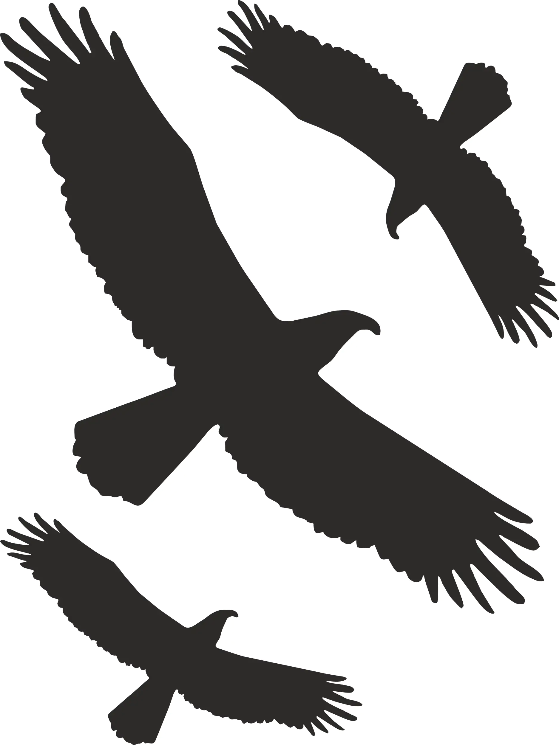 Hermann Schütz Aufkleber Kontur Vogel-Sortiment 3teilig 3 Motive