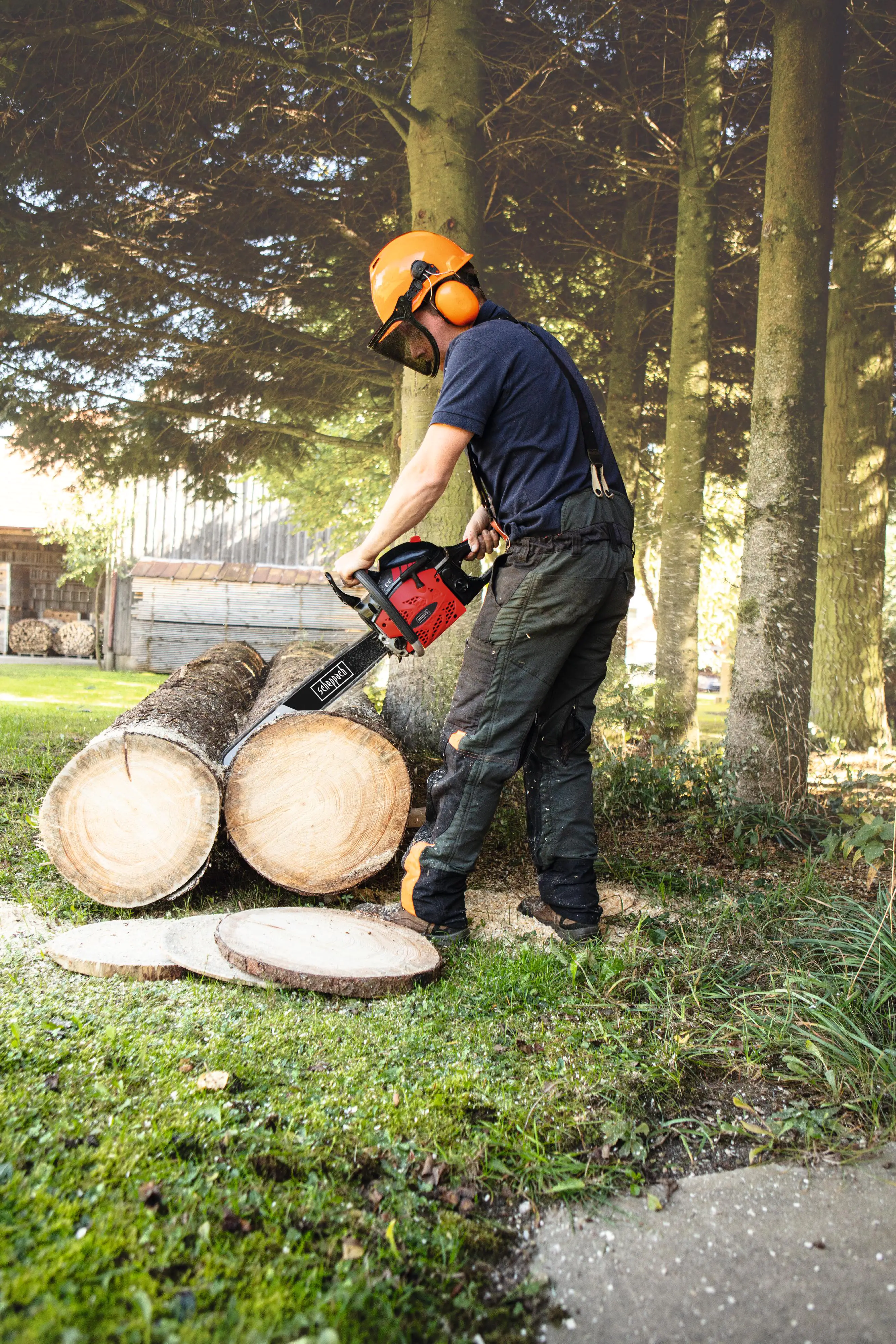 Scheppach Benzin Kettensäge BKS 5300 S 2 kW 46 cm Schwertlänge