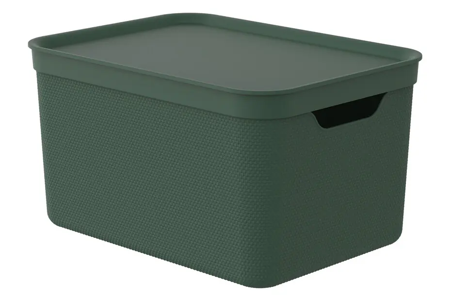 Rotho Aufbewahrungsbox Alvra mit Deckel 36,5 x 26,5 cm 16 L pure grün