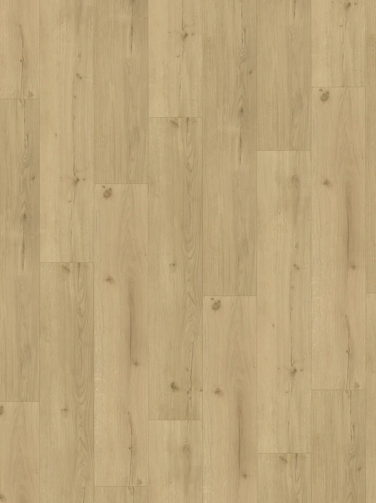 Parador Vinyl Basic 5.3 Eiche Infinity natur Landhausdiele