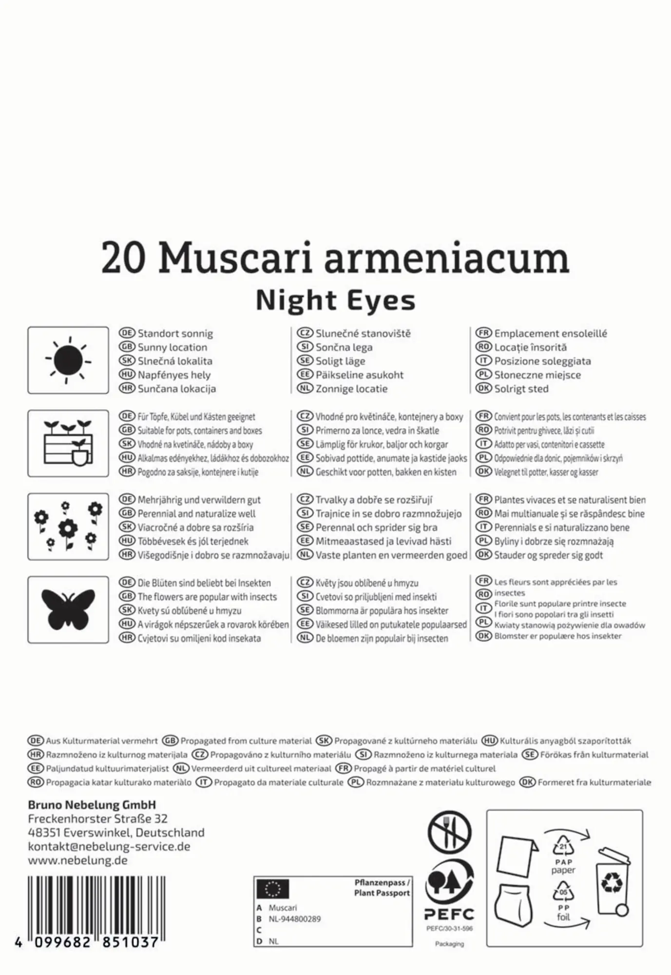 Kiepenkerl Herbstblumenzwiebel Traubenhyazinthe Night Eyes 20 Stück