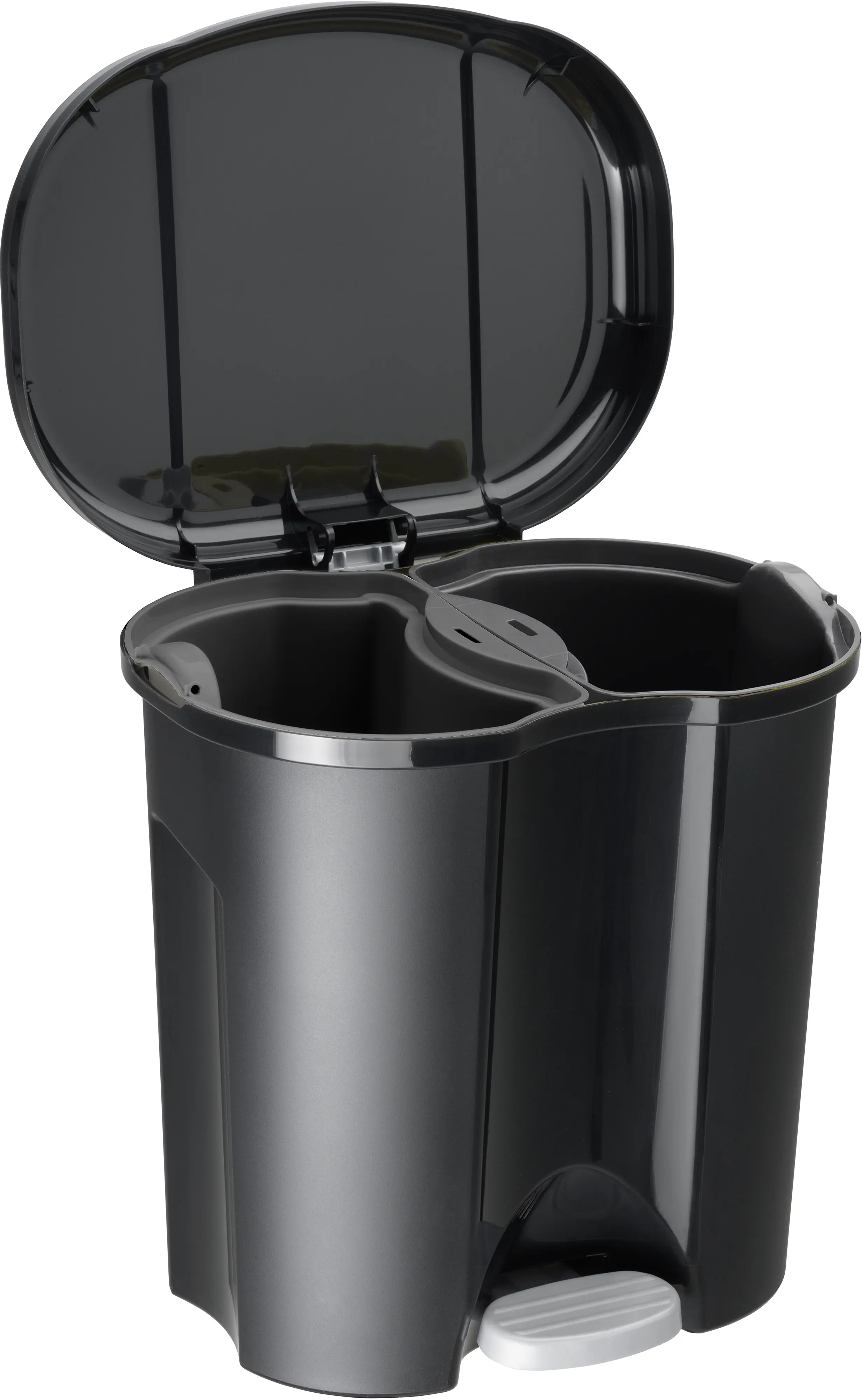 Rotho Abfalleimer Duo schwarz 2 x 10 L