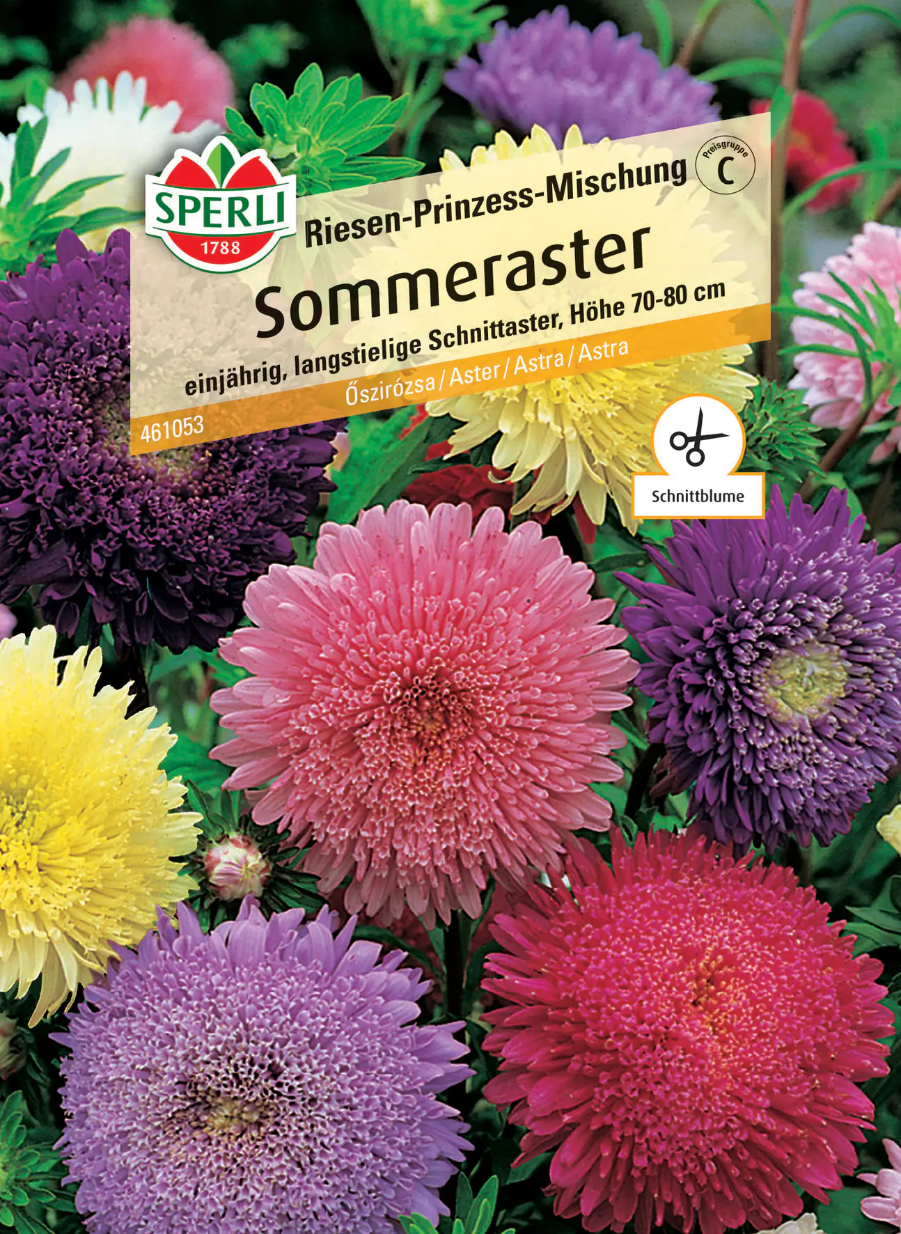 Sperli Sommeraster Riesen-Prinzess-Mischung